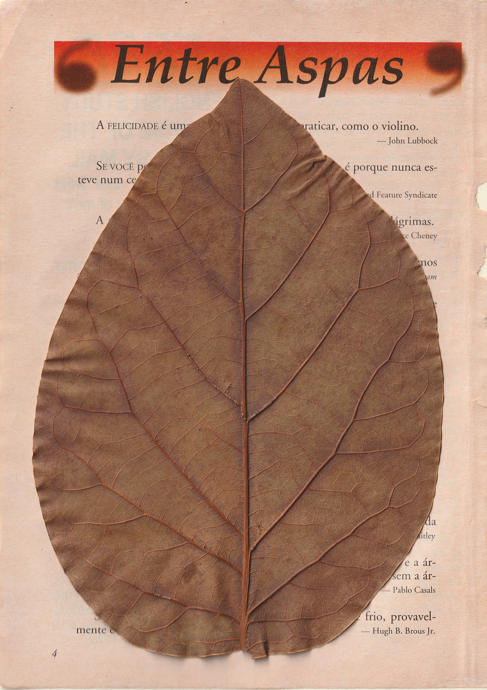 entre aspas, 05/04/26