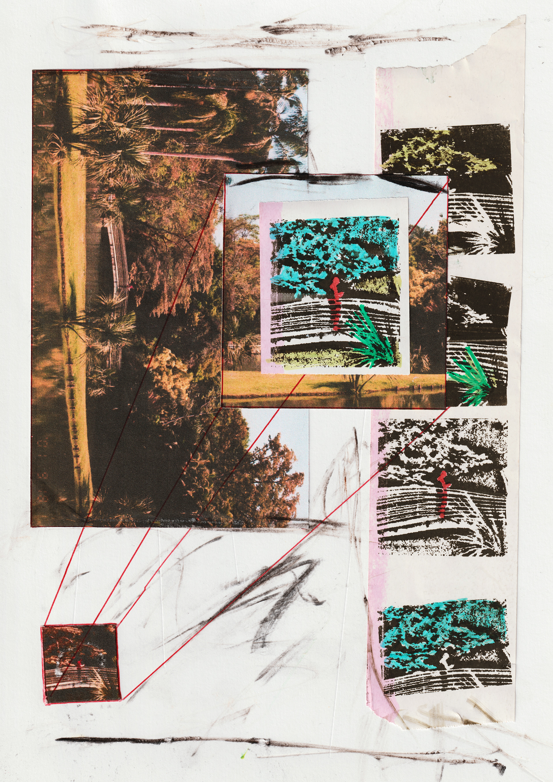 palo santo, 14/09/25