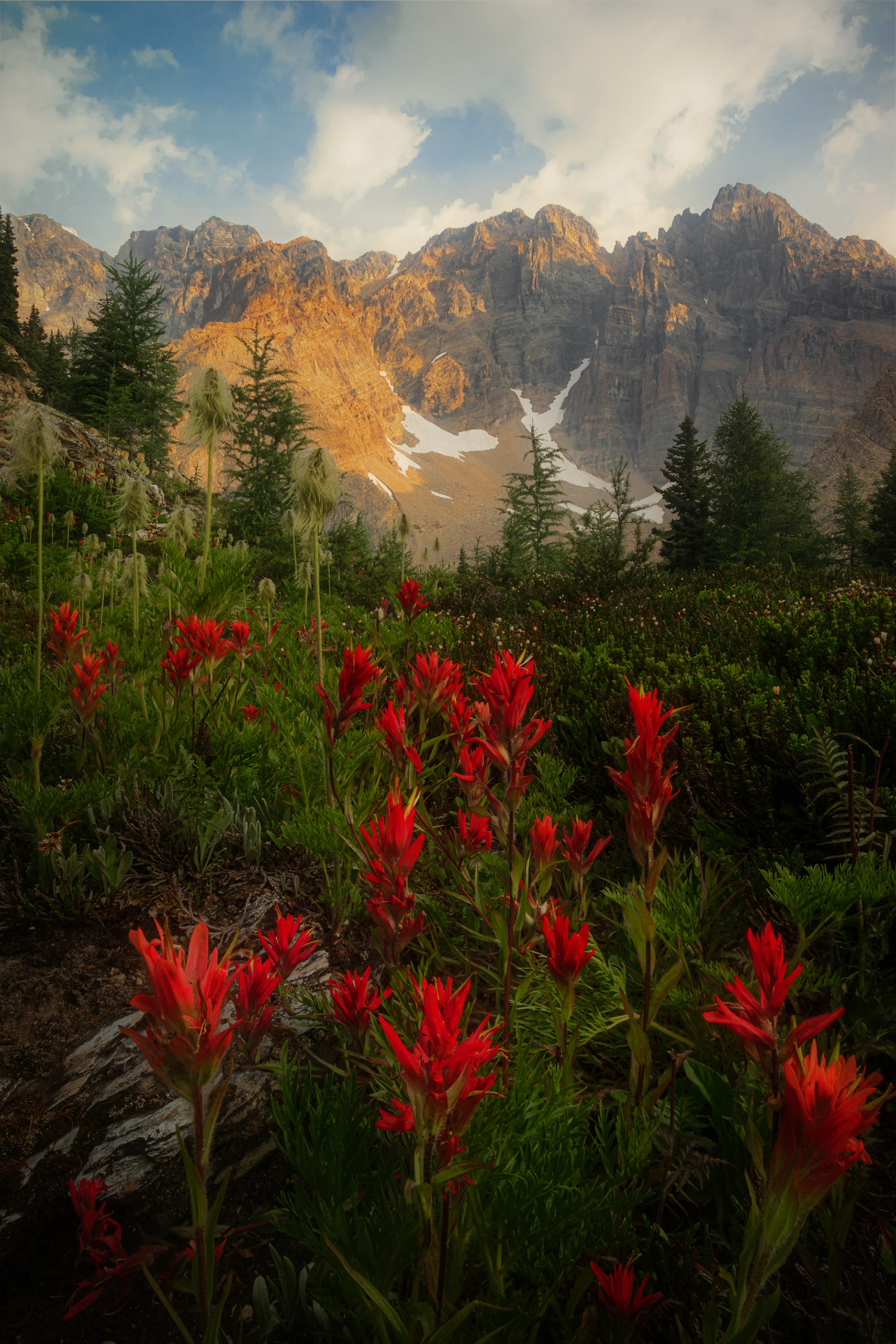 Floral Inferno