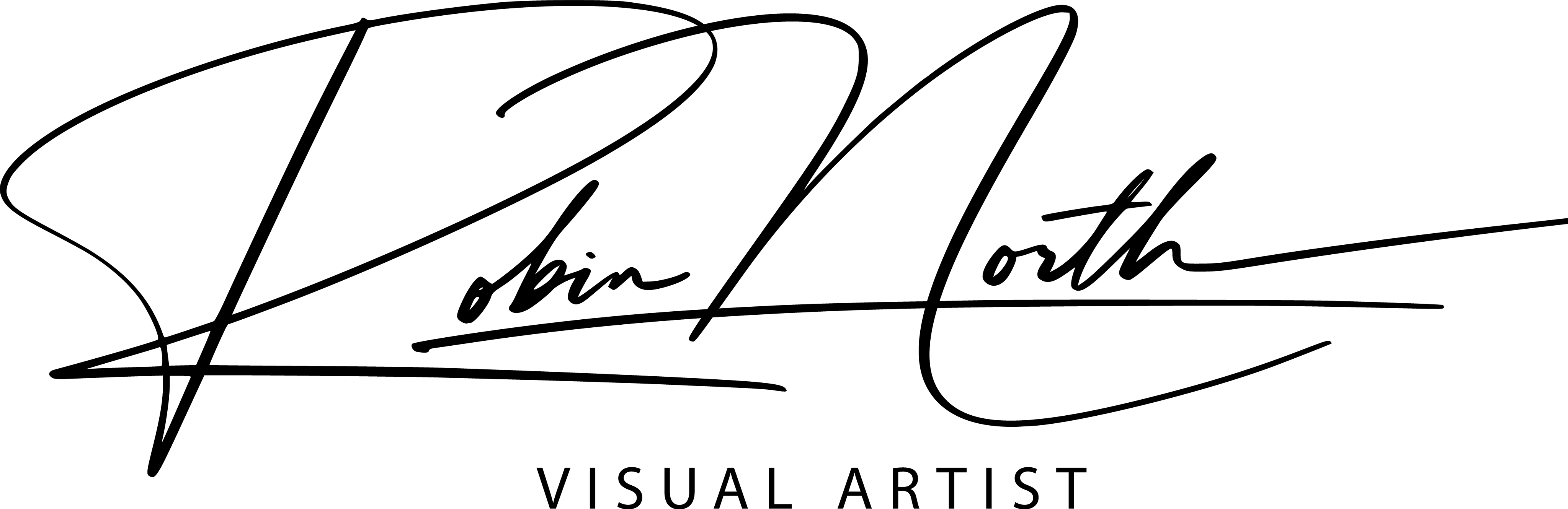 Robin North Visual Artist