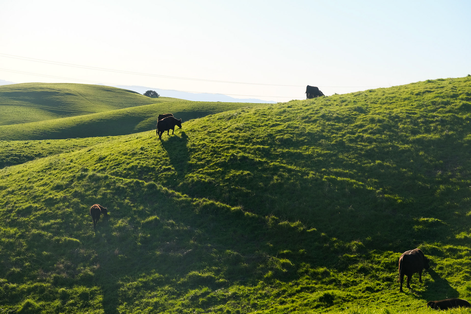 Vargas Plateau Regiona Park
