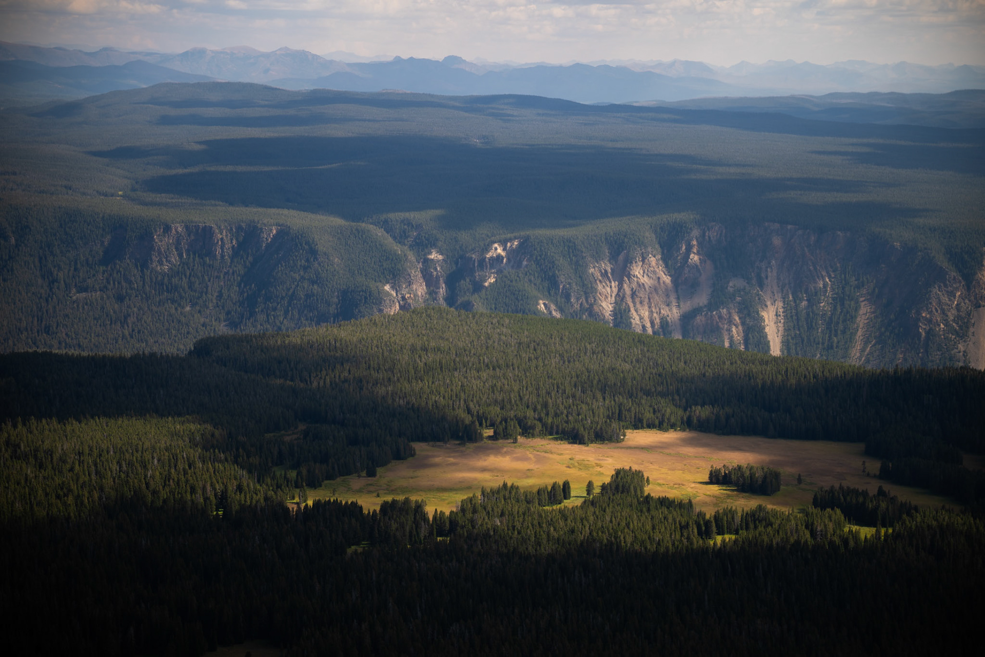 View from Mt Washburn