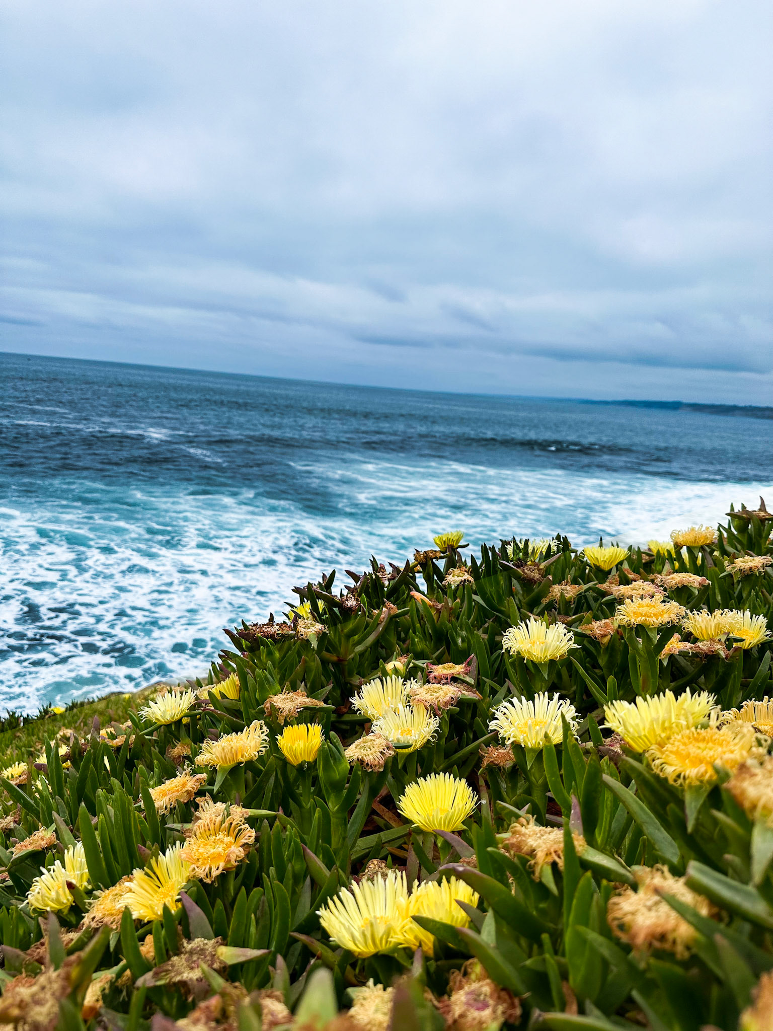 La Jolla Cove