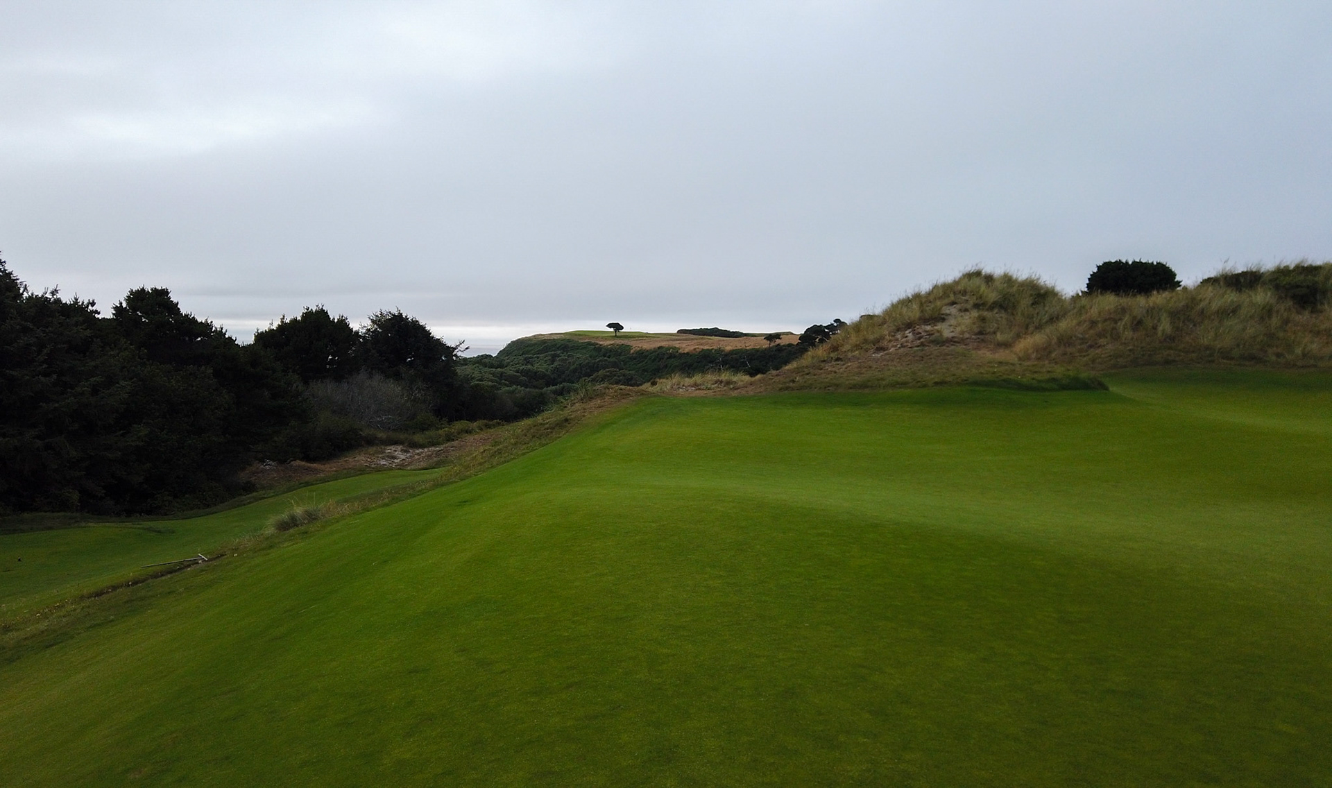 DCIM\101MEDIA\DJI_0016.JPG