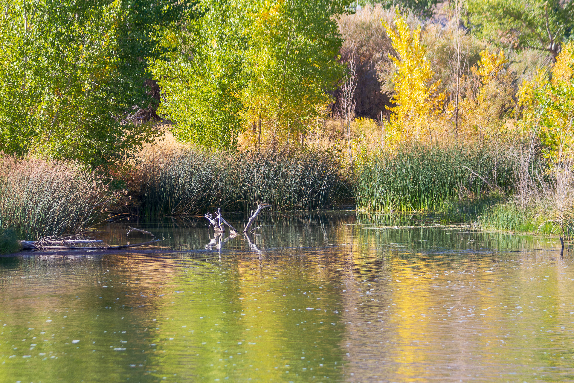 Truckee River