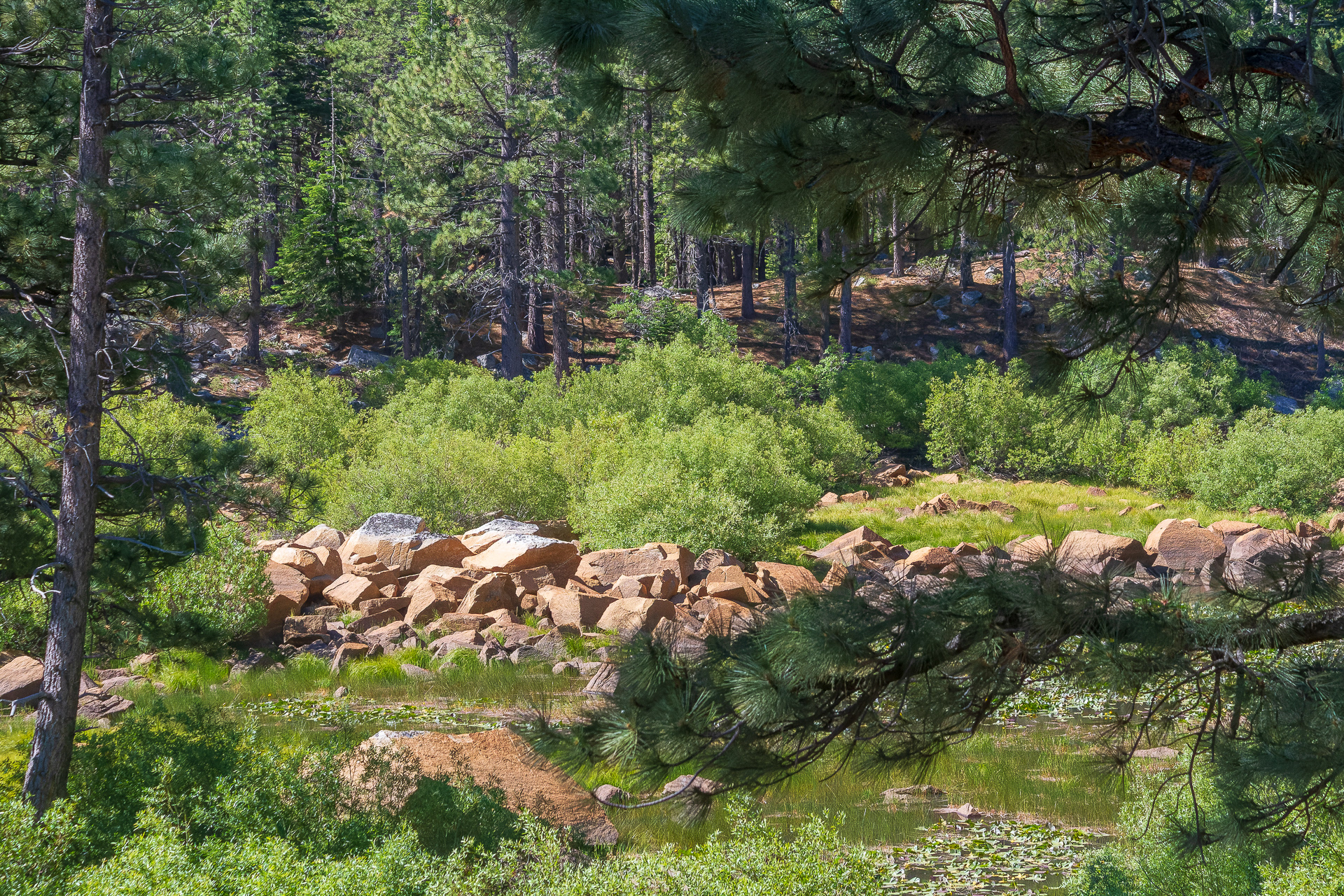Rock Lake