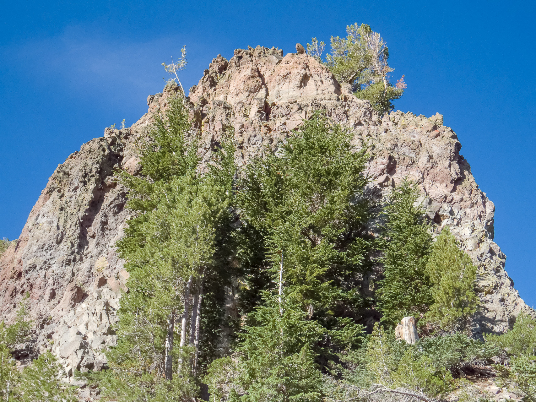 Mt Rose Trail