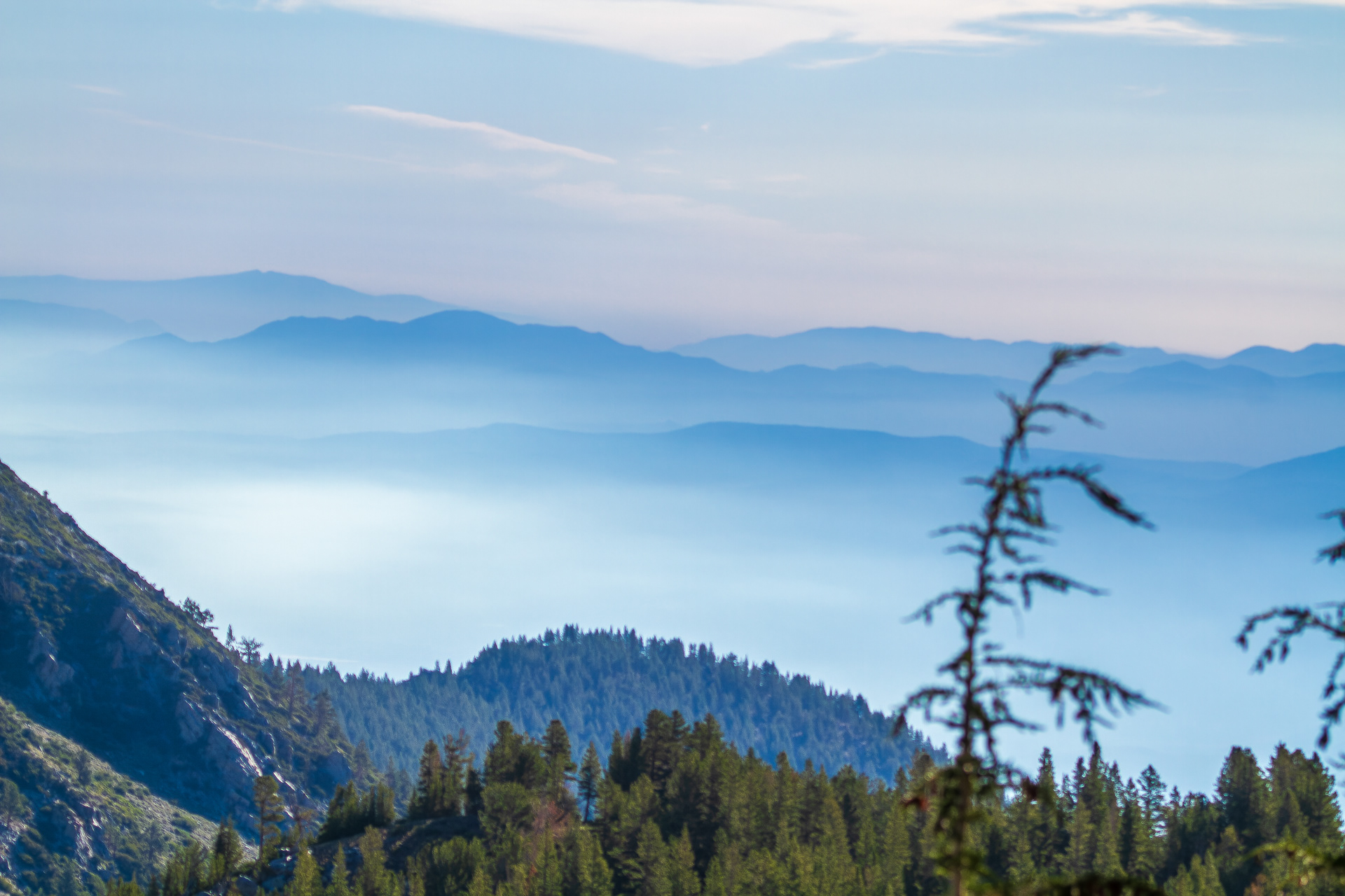 Mt Rose Trail