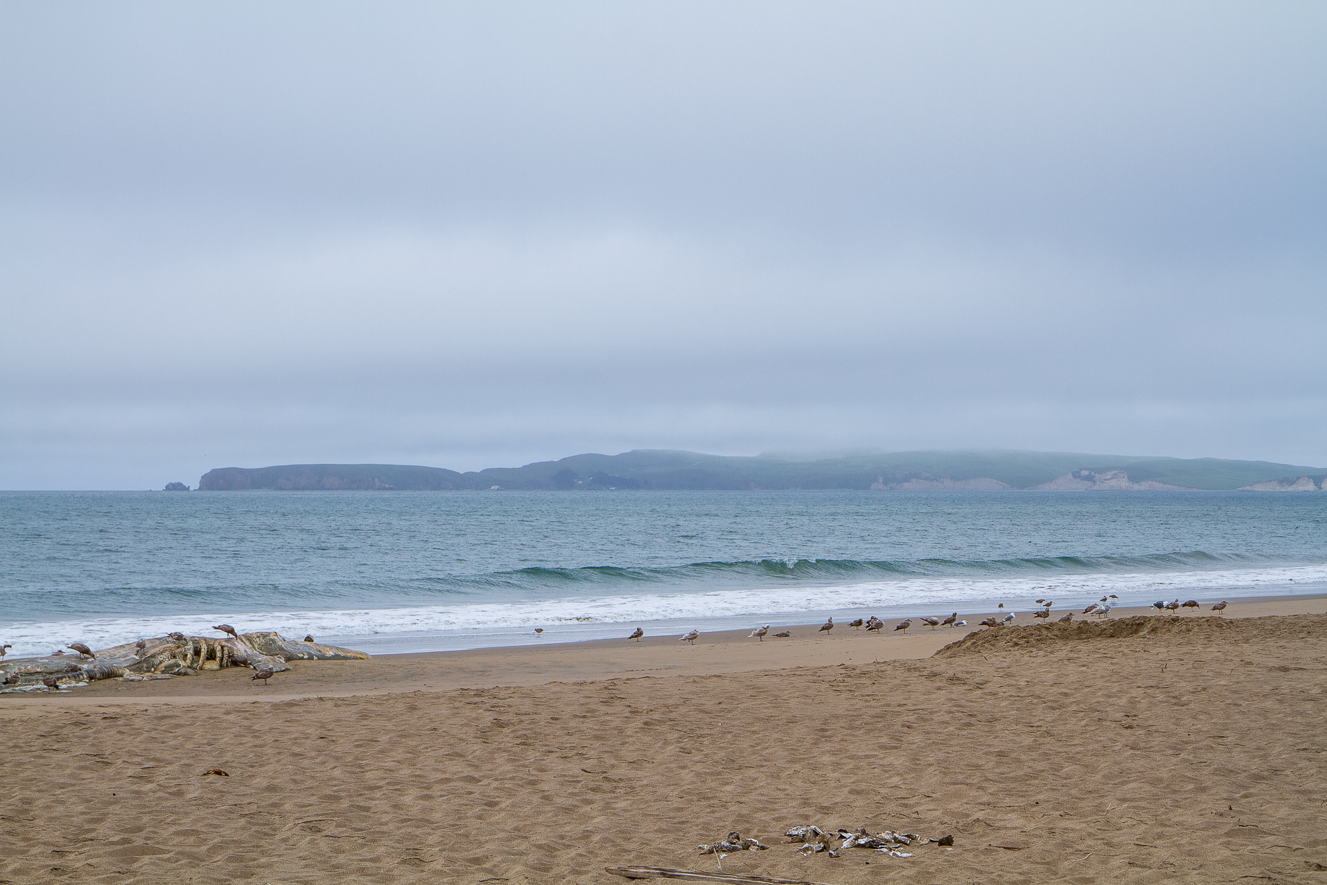 Pt. Reyes