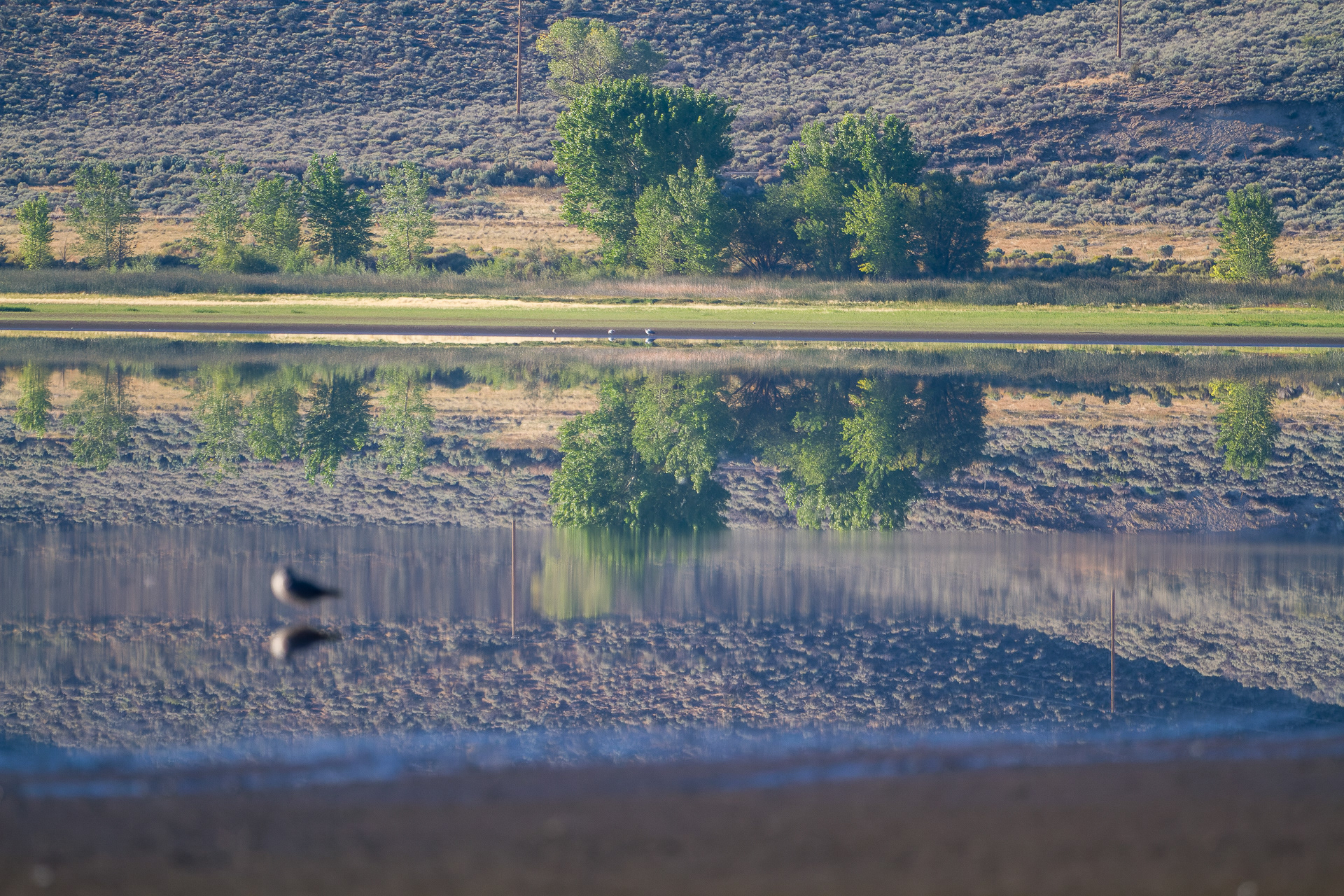 Washoe Lake