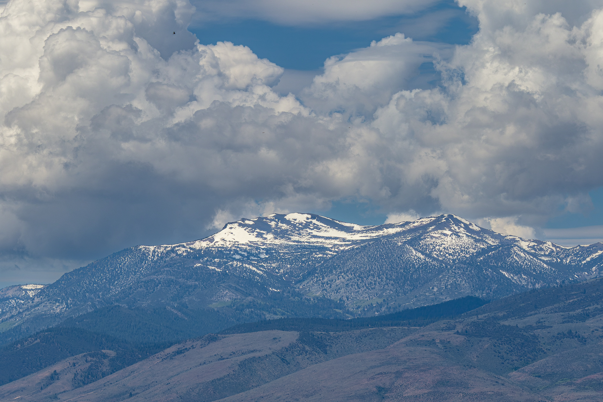 Mt. Rose