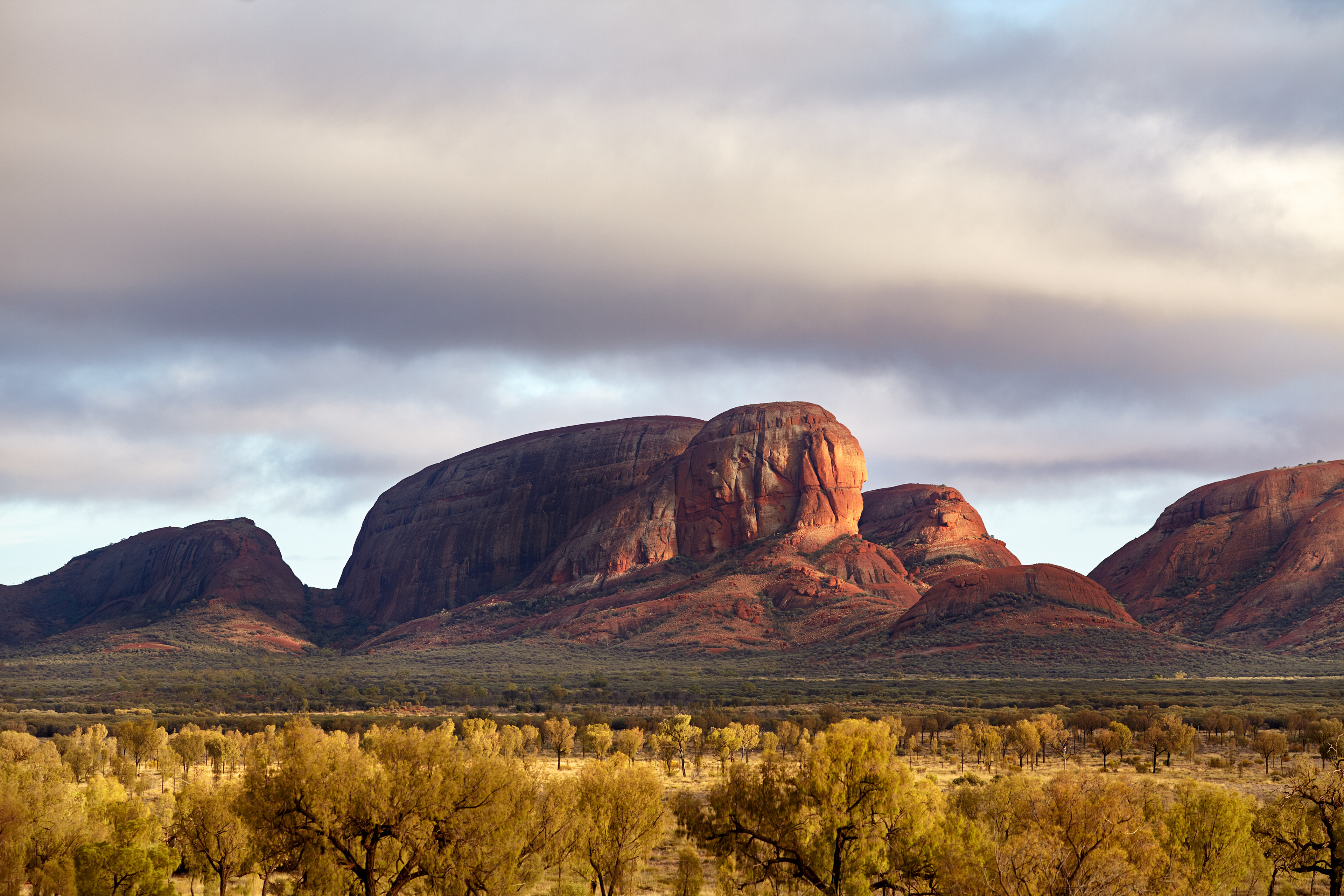 The 'many heads' of Kata Tjuta