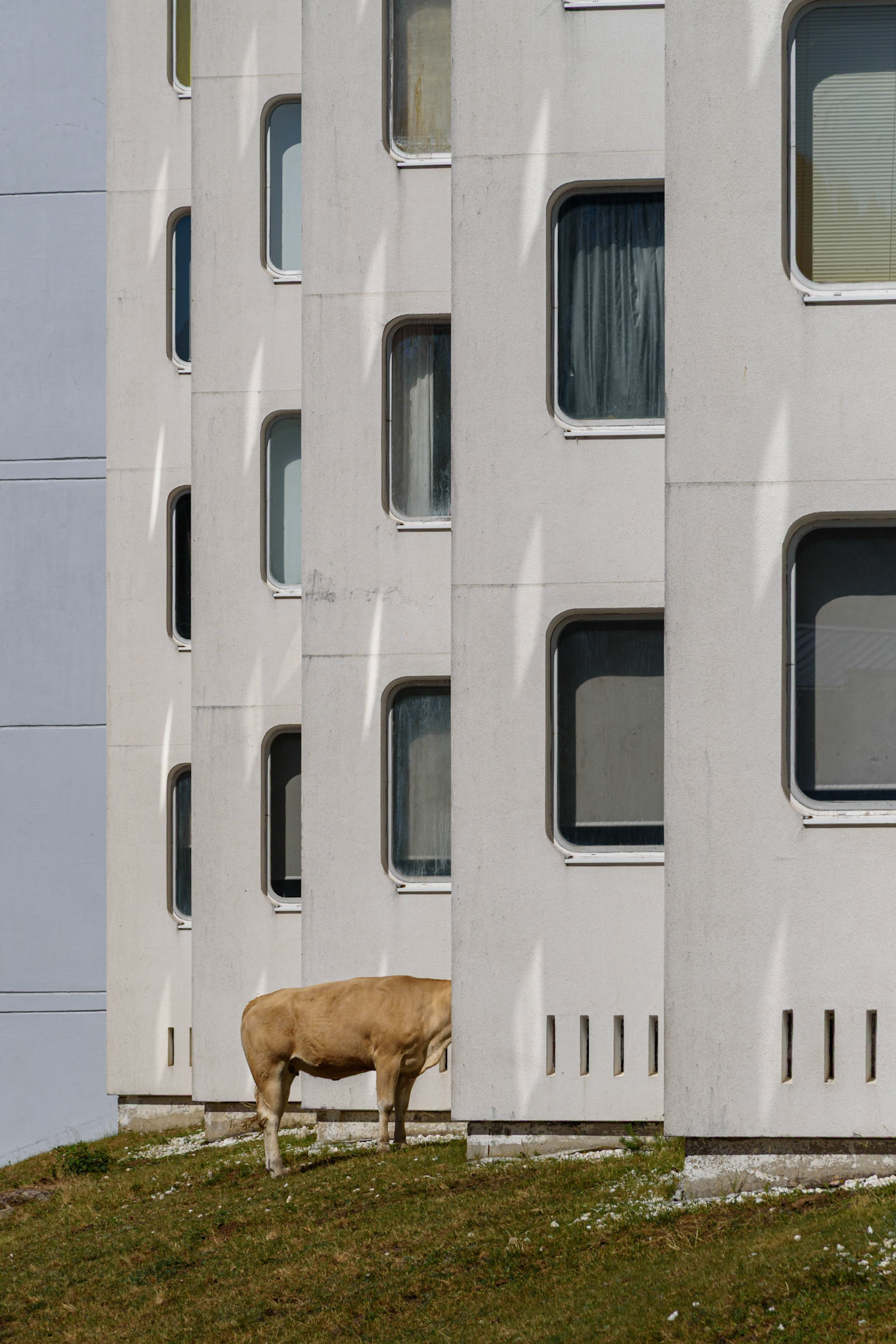 EDIFICIO DE APARTAMENTOS EN CABEZA DE MANZANEDA