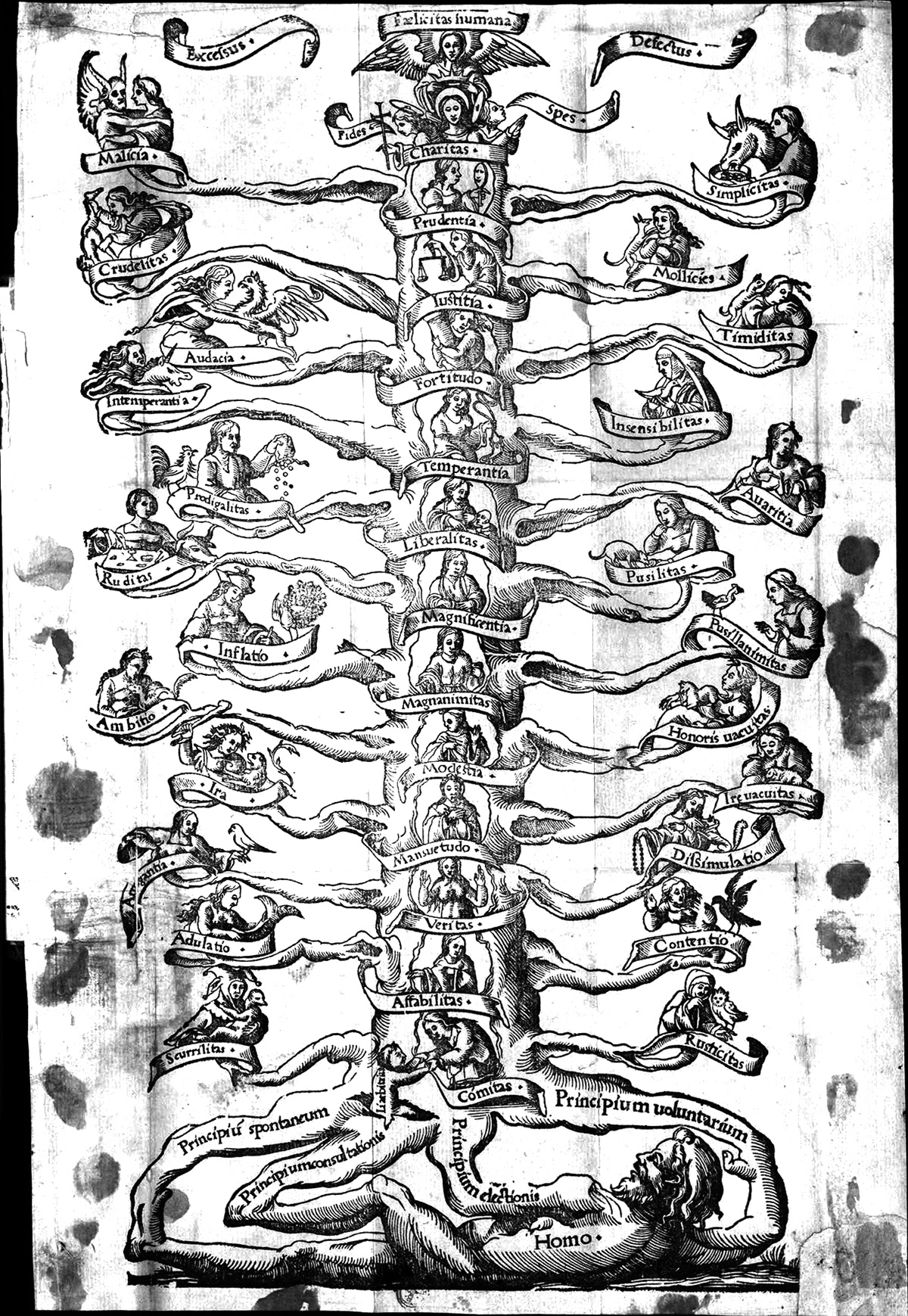 The woodcut of the Tree of Virtues from the 1563 edition.