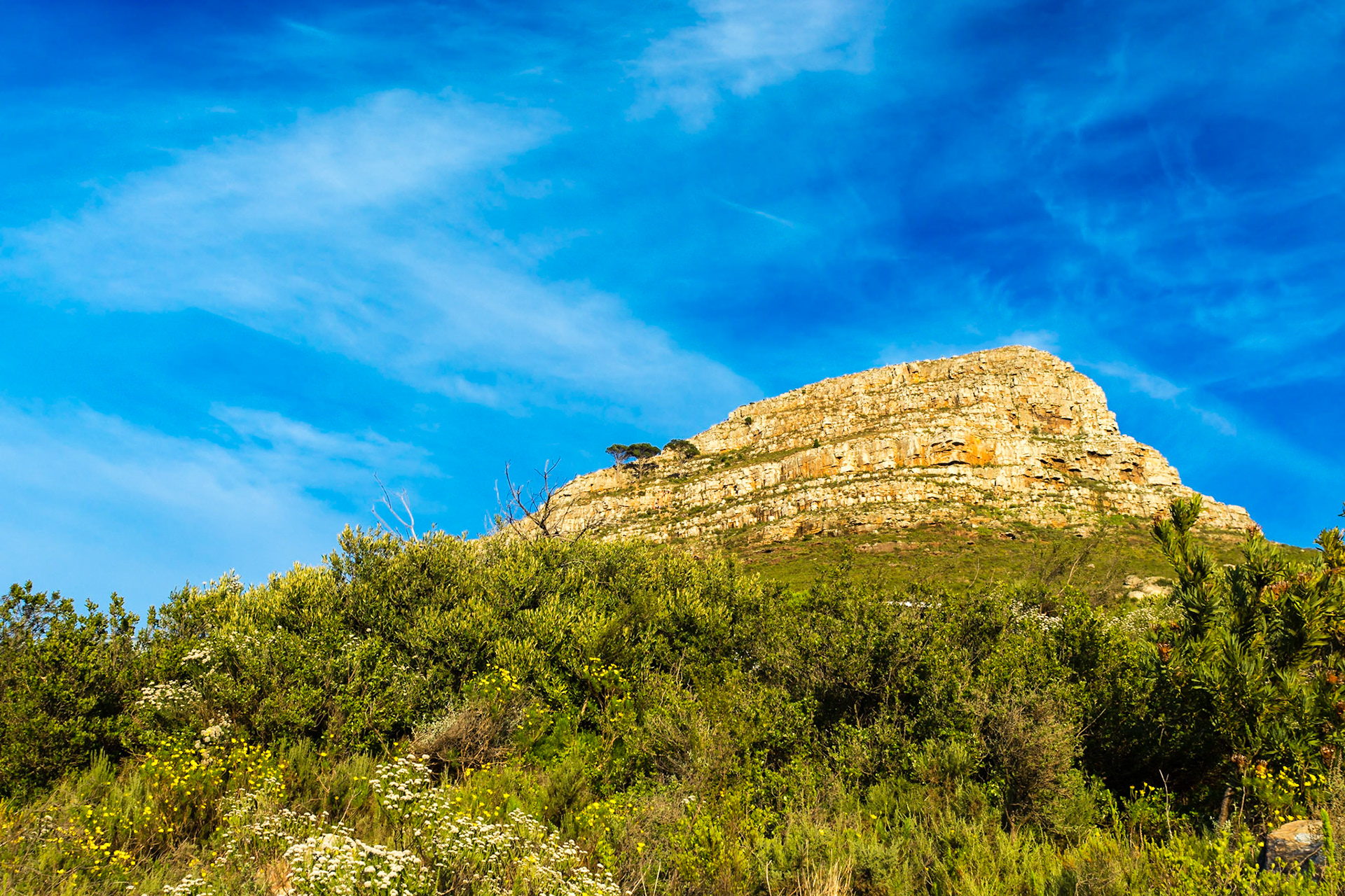 Lions Head in Cape Town is a prominent landmark and popular hiking destination.