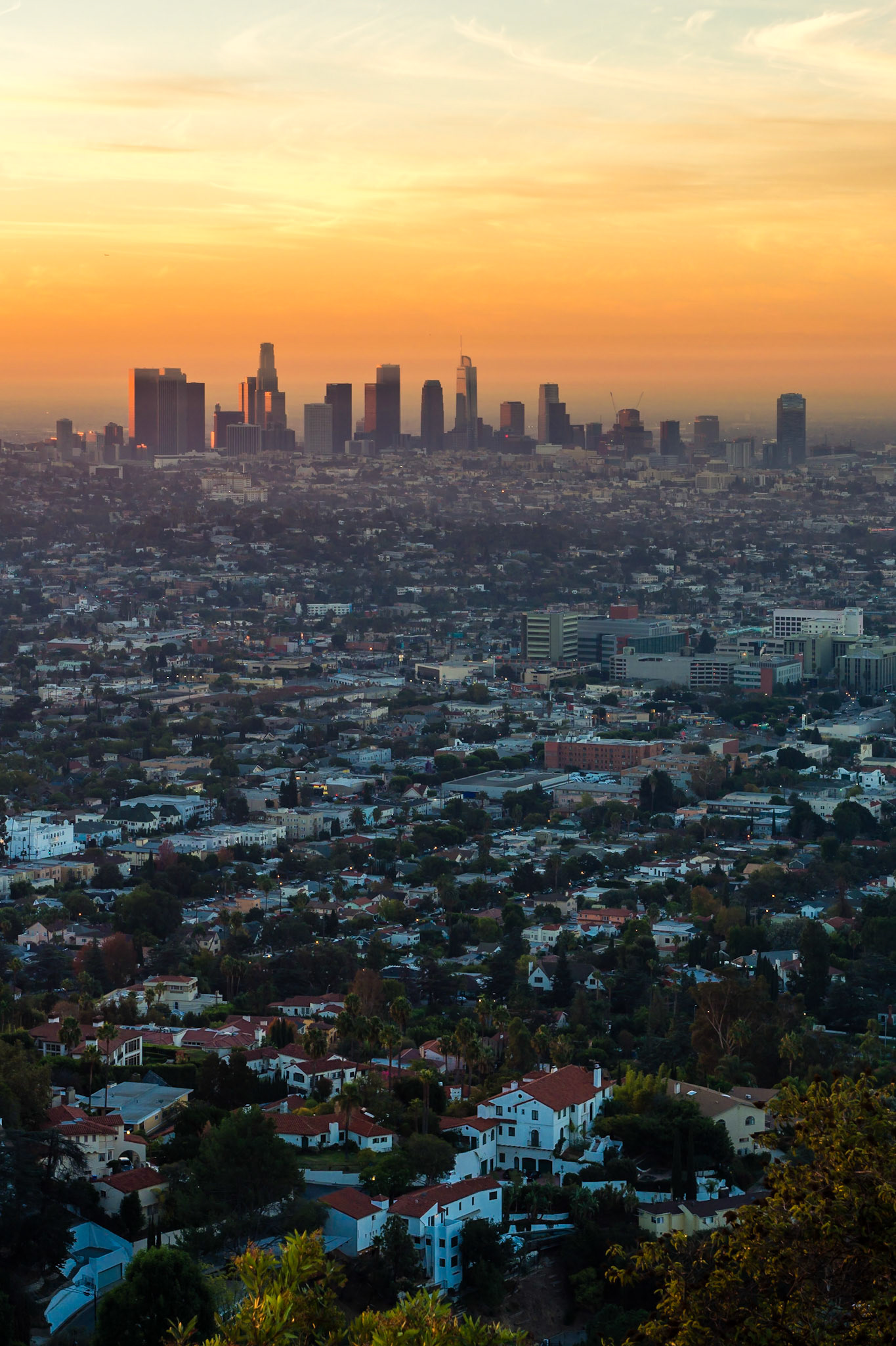 An alternative view from Griffith Observatory in Los Angeles, encompassing the sprawl from Los Feliz to Downtown