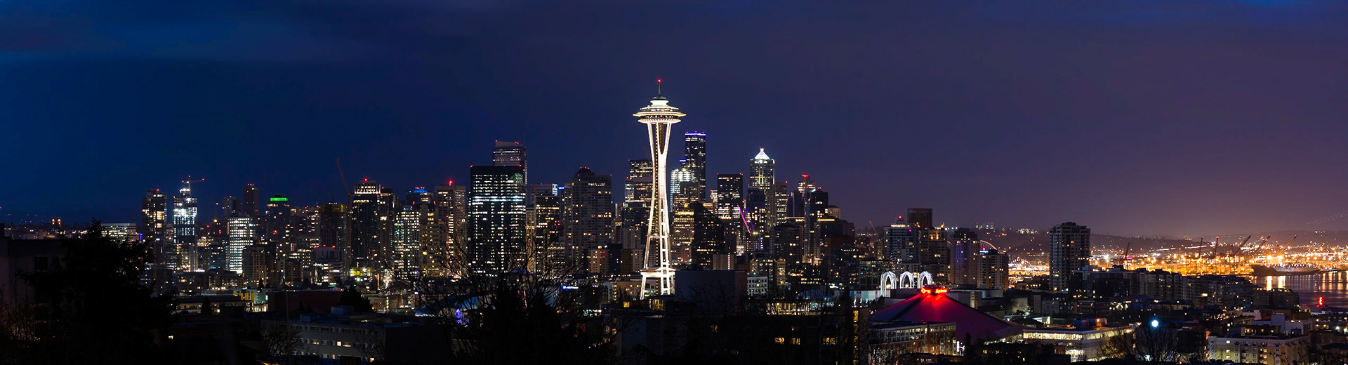 Taken on a (very) cold morning at Kerry Park in Seattle. The view from here is always spectacular, although the low cloud tempered the colours this time.