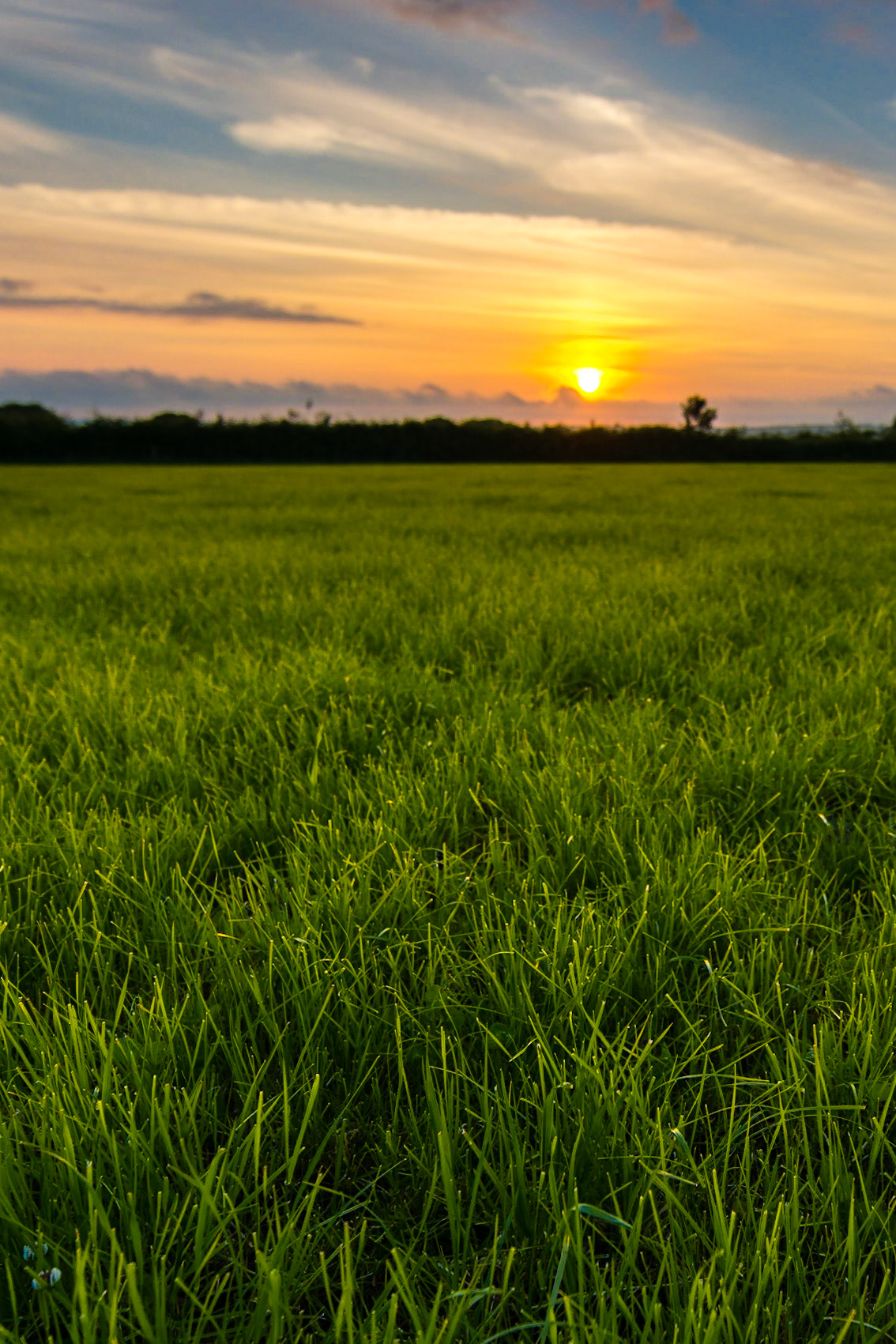 A beautiful sunset in the English countryside, a few miles from Bude and Newquay in the north of Cornwall.