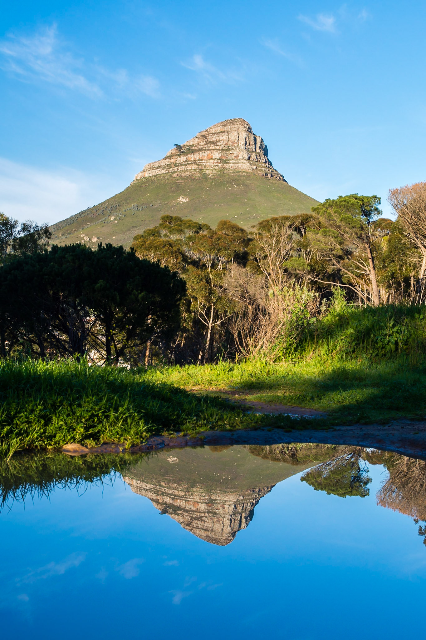 The Lions Head mountain is reflected in a puddle after some much-needed rainfall in Cape Town, South Africa