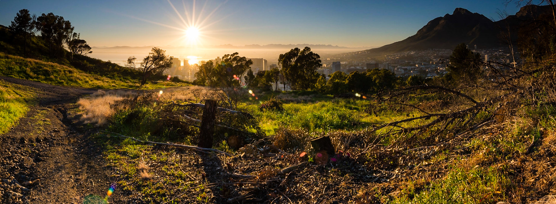 A beautiful sunrise over Cape Town, viewed from one of the paths on the side of Signal Hill