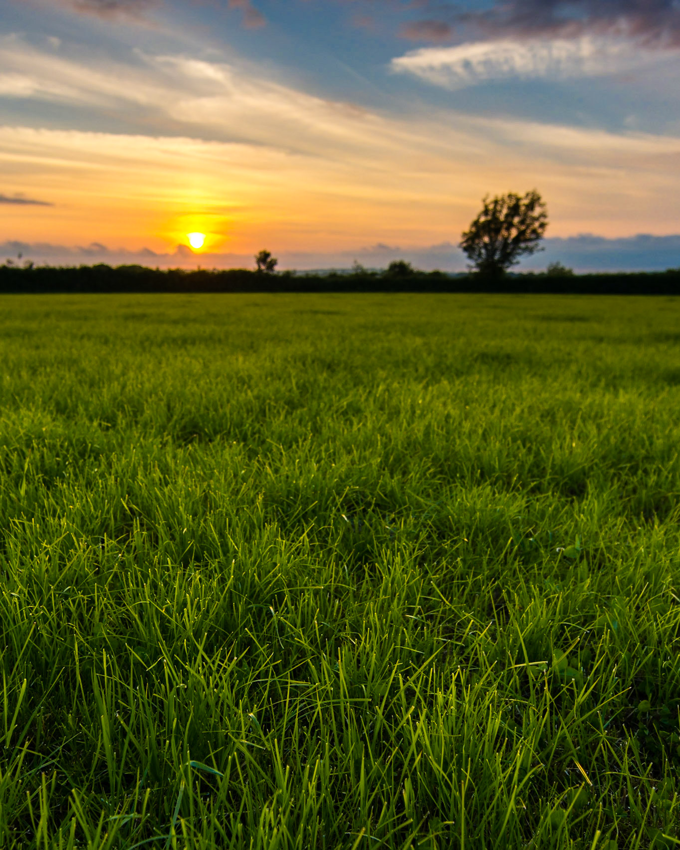 A beautiful sunset in the English countryside.Homepage: <a href="http://www.richardbrew.com">RichardBrew.com</a>Facebook: <a href="https://www.facebook.com/richardbrewphotography">Richard Brew Photography</a>Twitter: <a>Twitter</a>Google+ <a href="https://plus.google.com/u/0/112745305766235730672">Google+</a>