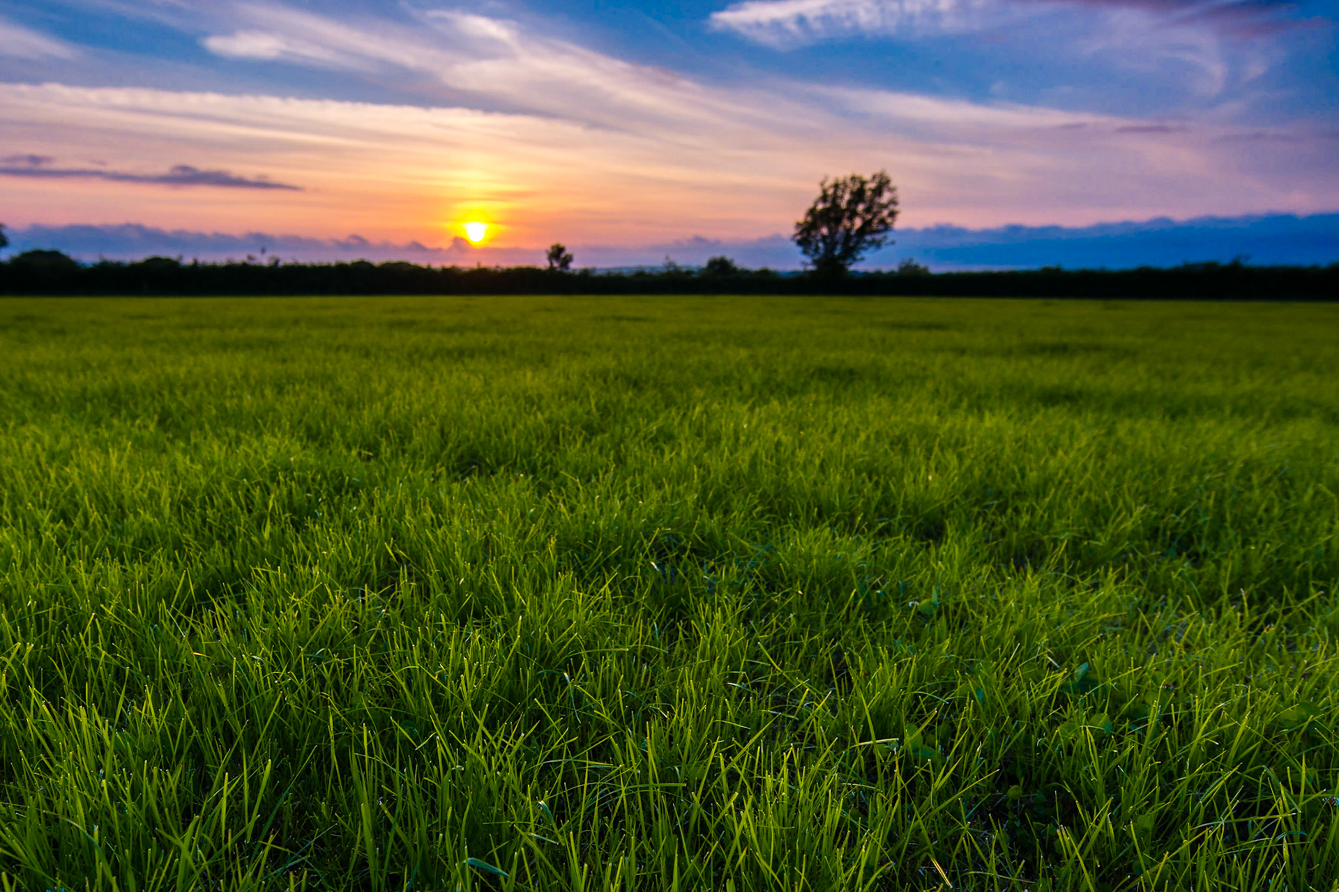 A beautiful sunset in the English countryside.Homepage: <a href="http://www.richardbrew.com">RichardBrew.com</a>Facebook: <a href="https://www.facebook.com/richardbrewphotography">Richard Brew Photography</a>Twitter: <a>Twitter</a>Google+ <a href="https://plus.google.com/u/0/112745305766235730672">Google+</a>