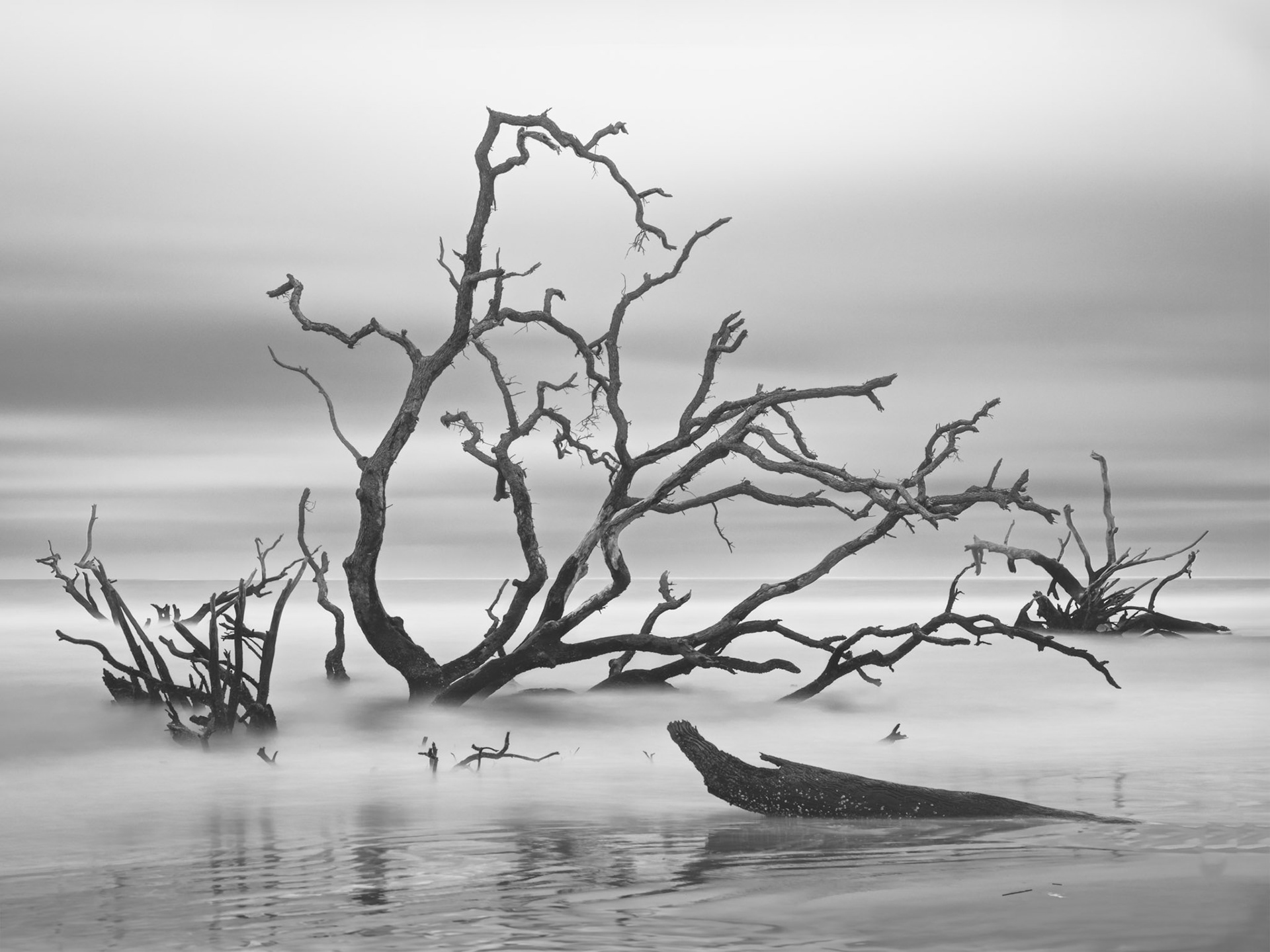 Impermanence, Little Hunting Island 2022