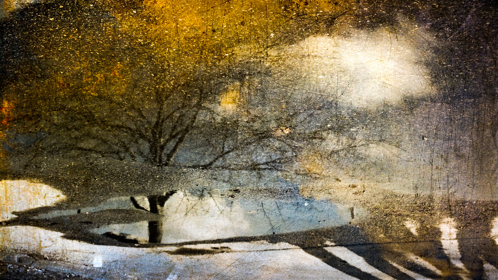 Parking Lot Reverie