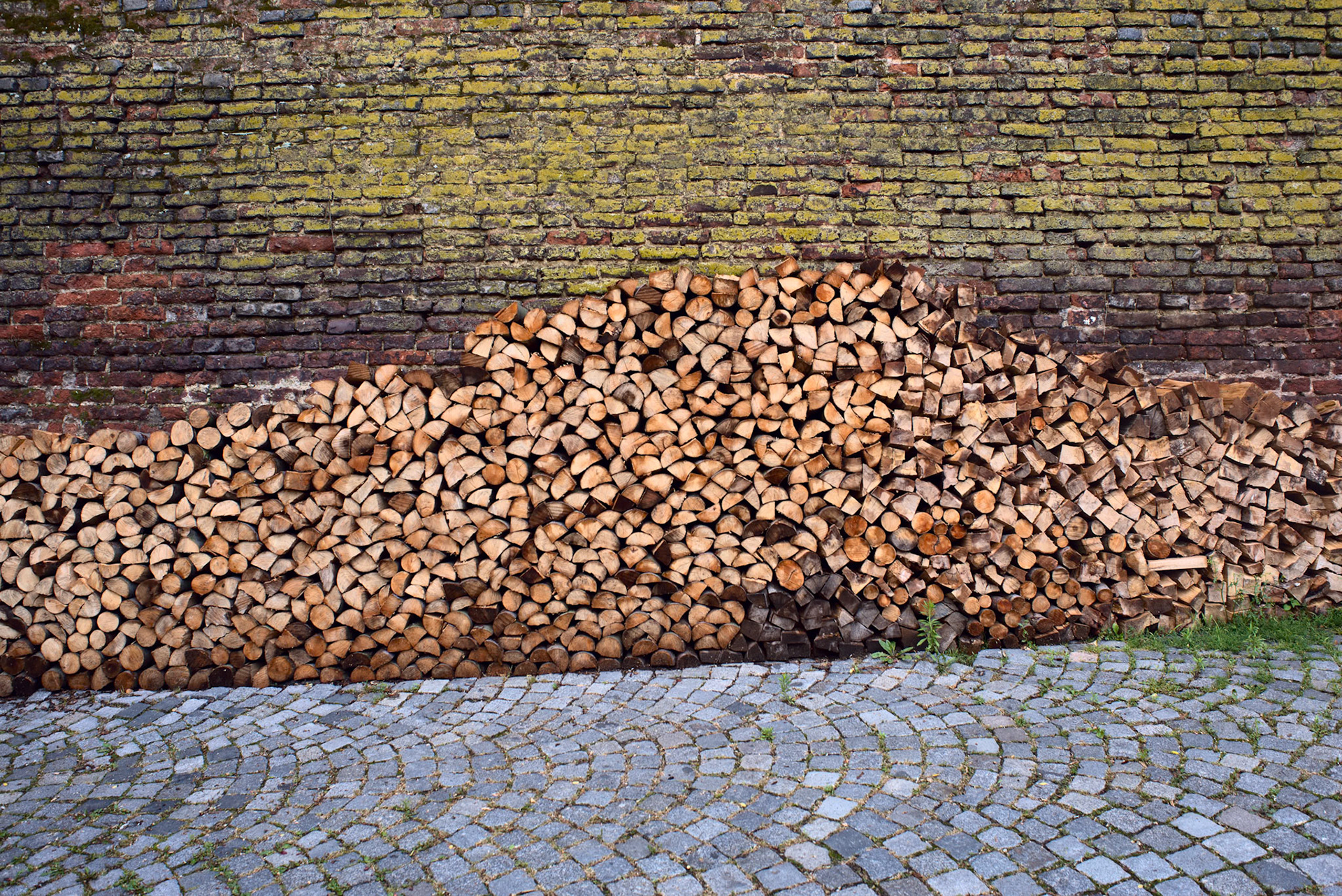Wood on stone (Czech Republic, 2016)