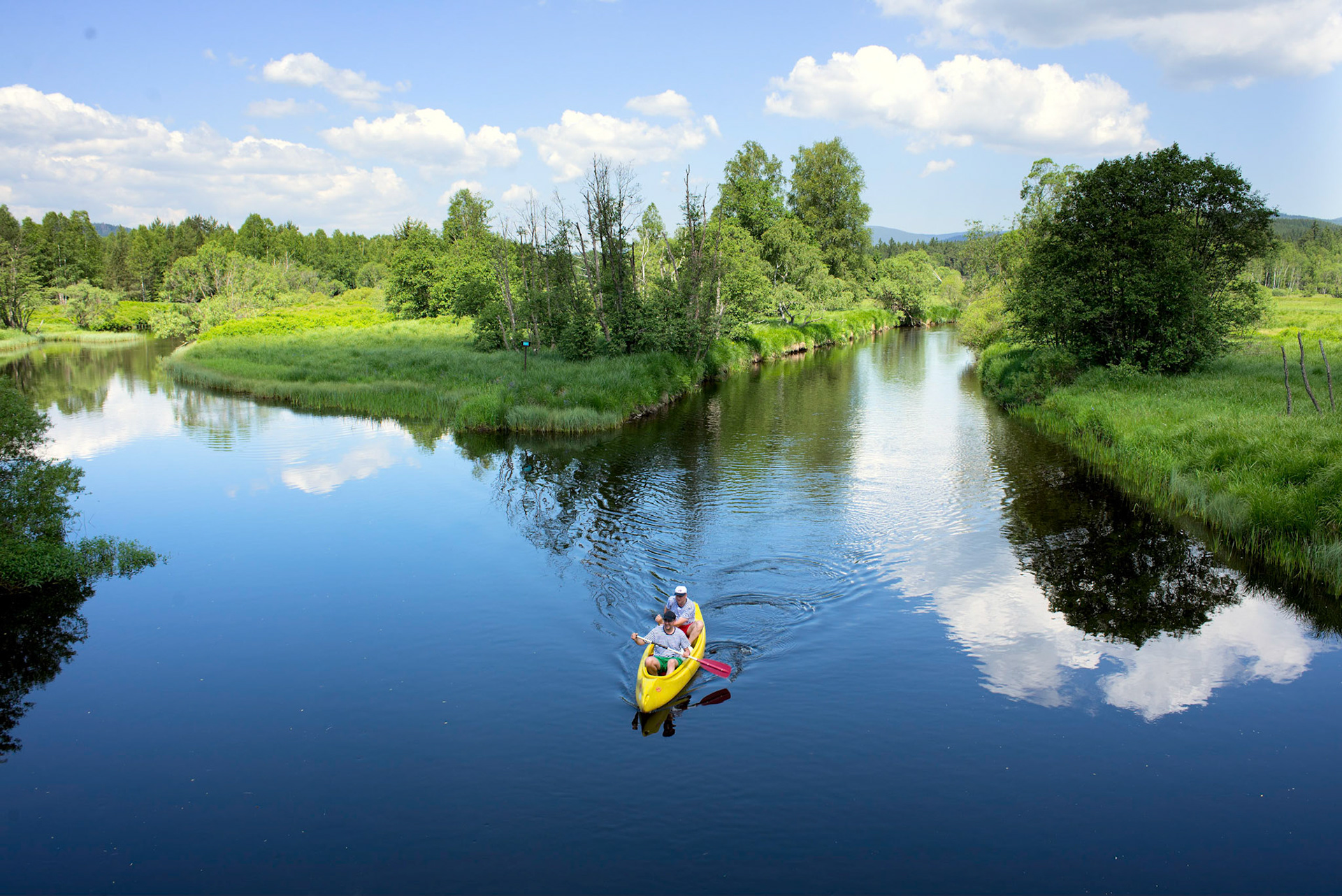 Sumava
