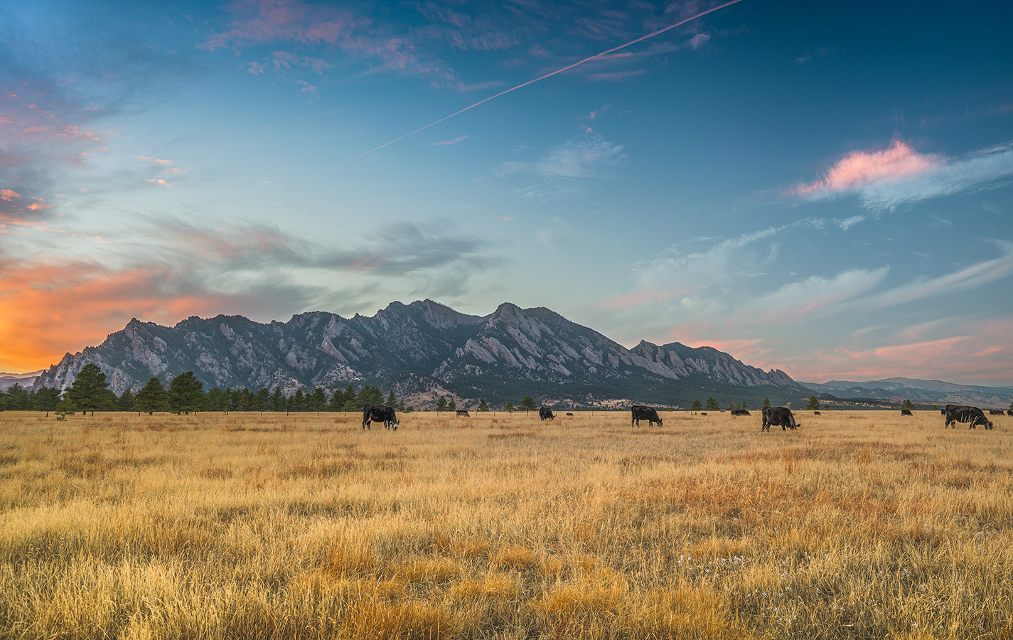 Flatirons,
