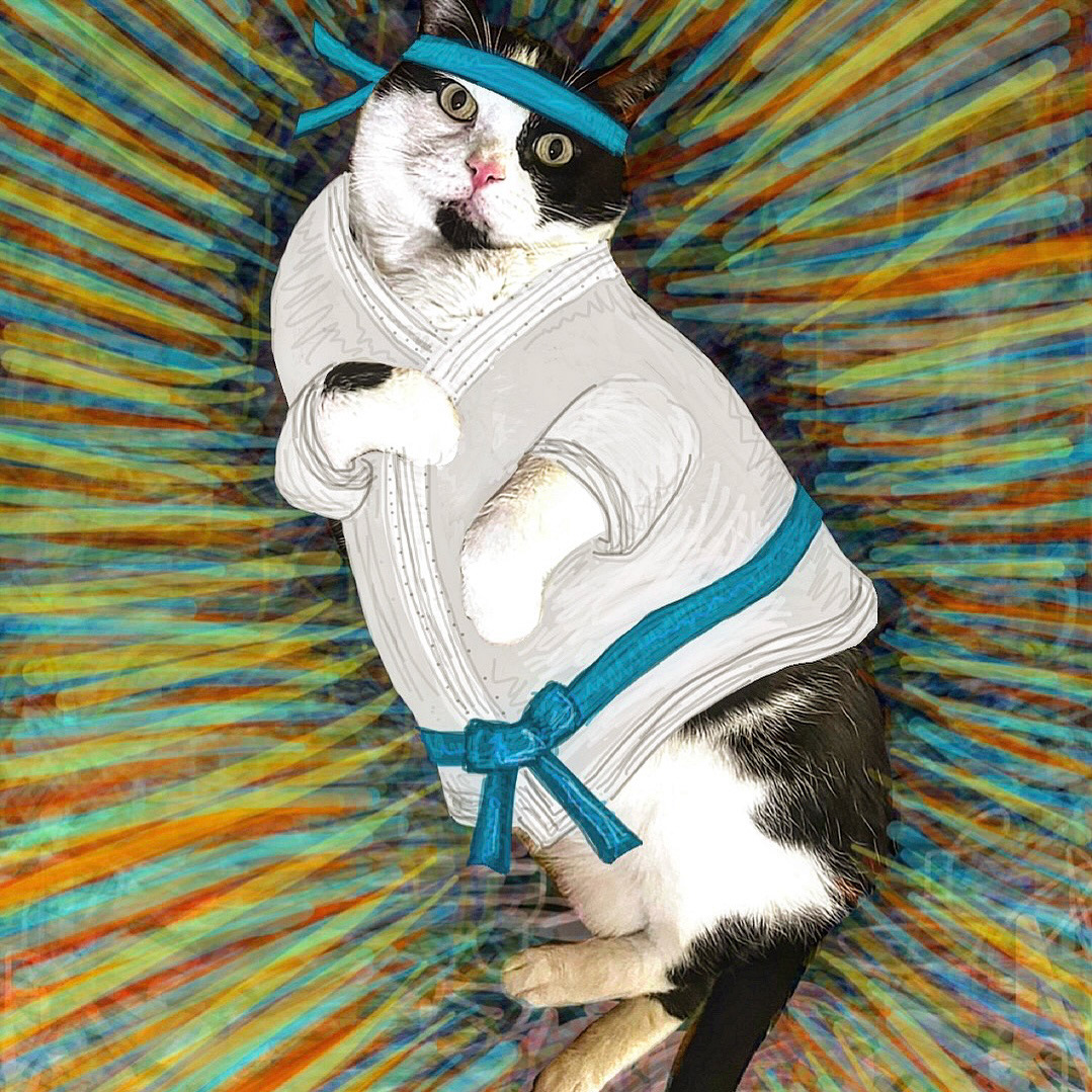 Instagram • @adventuresofclarkthecat • iPhone Finger Drawing