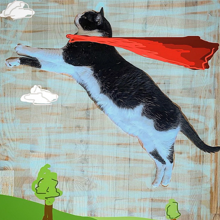 Instagram • @adventuresofclarkthecat • iPhone Finger Drawing