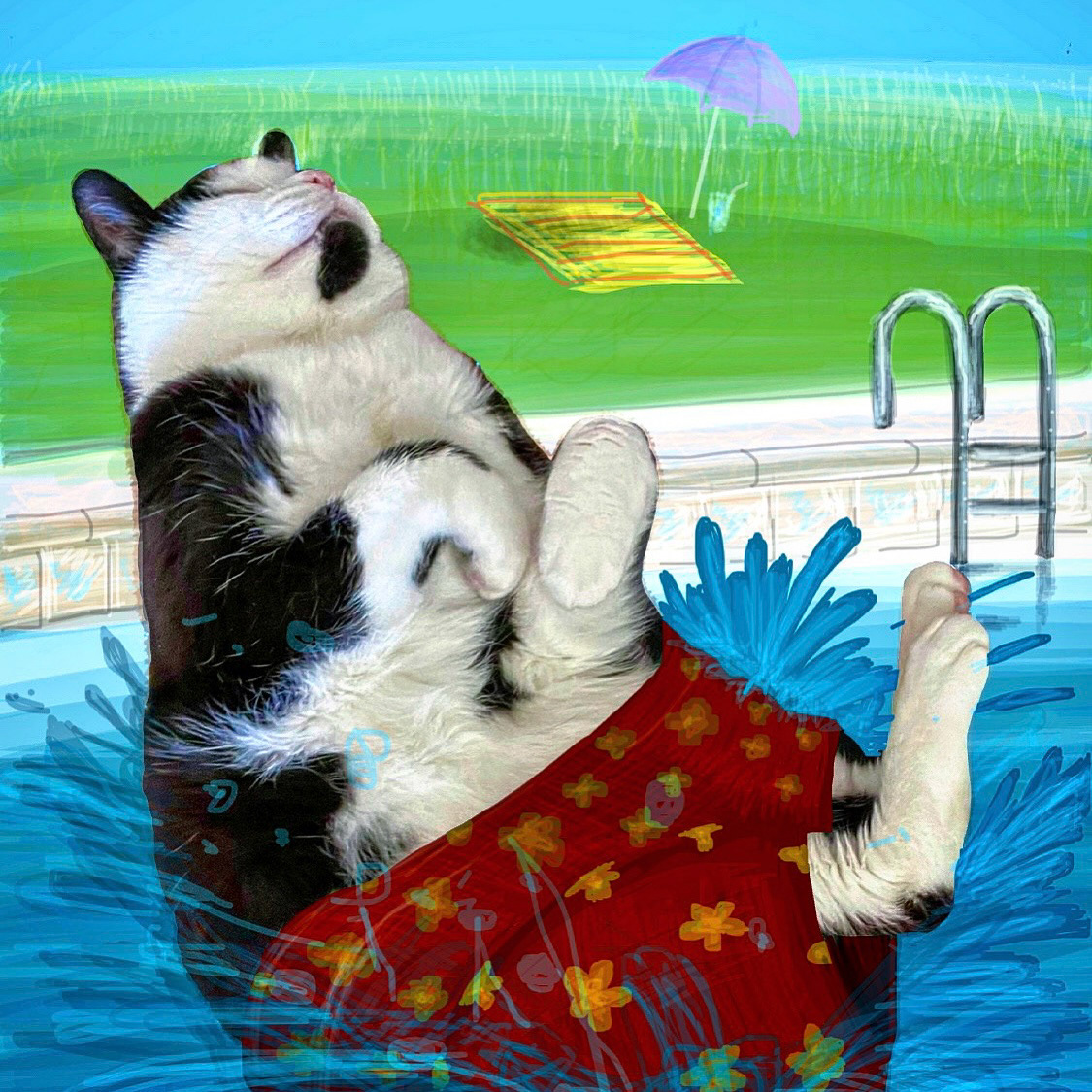 Instagram • @adventuresofclarkthecat • iPhone Finger Drawing