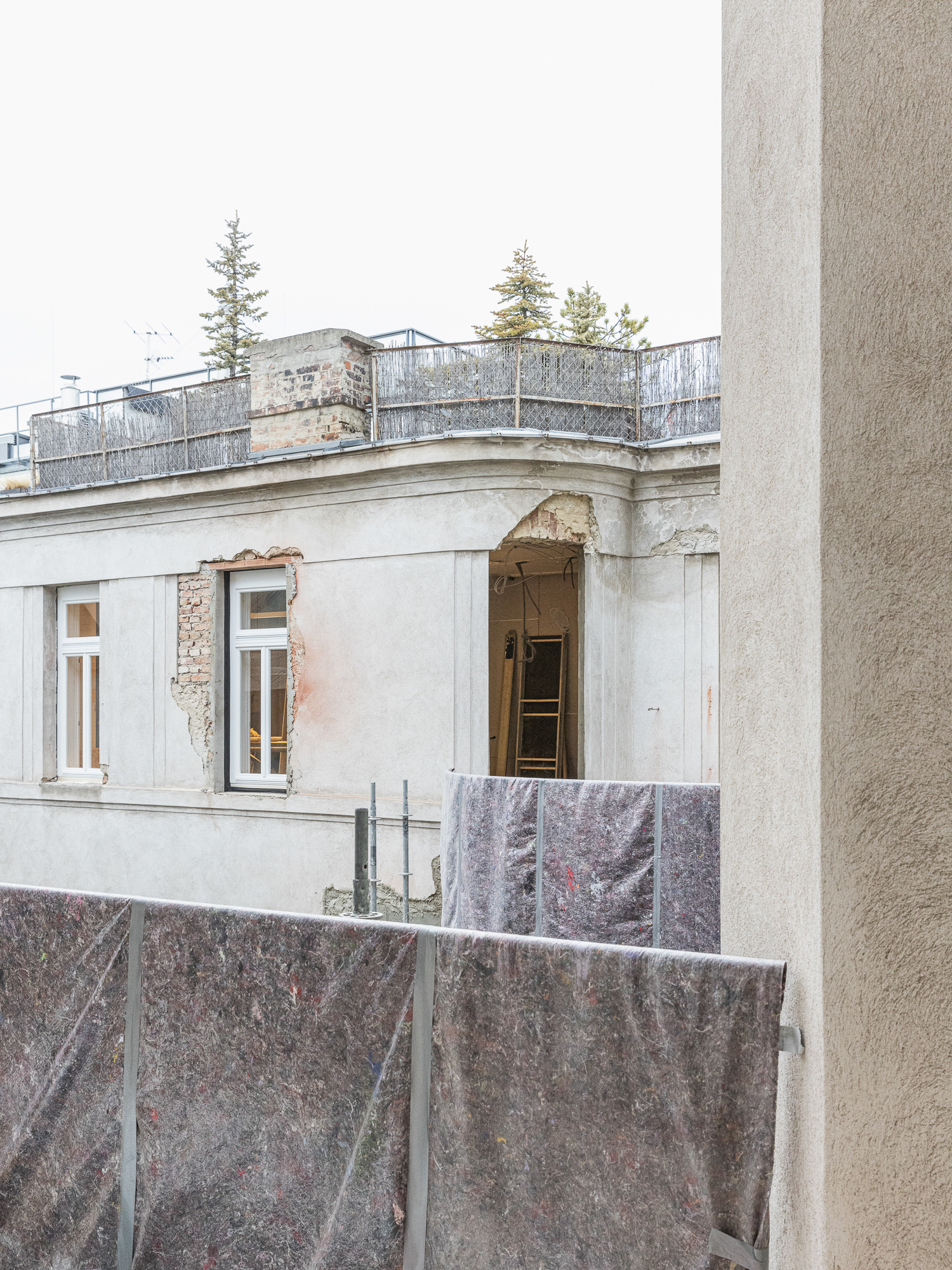 Opernring Baustellenfoto Tannen und Fenster