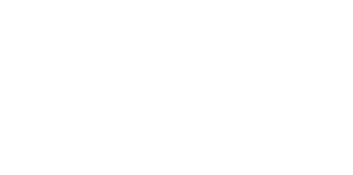 María Isabel Araya Canales