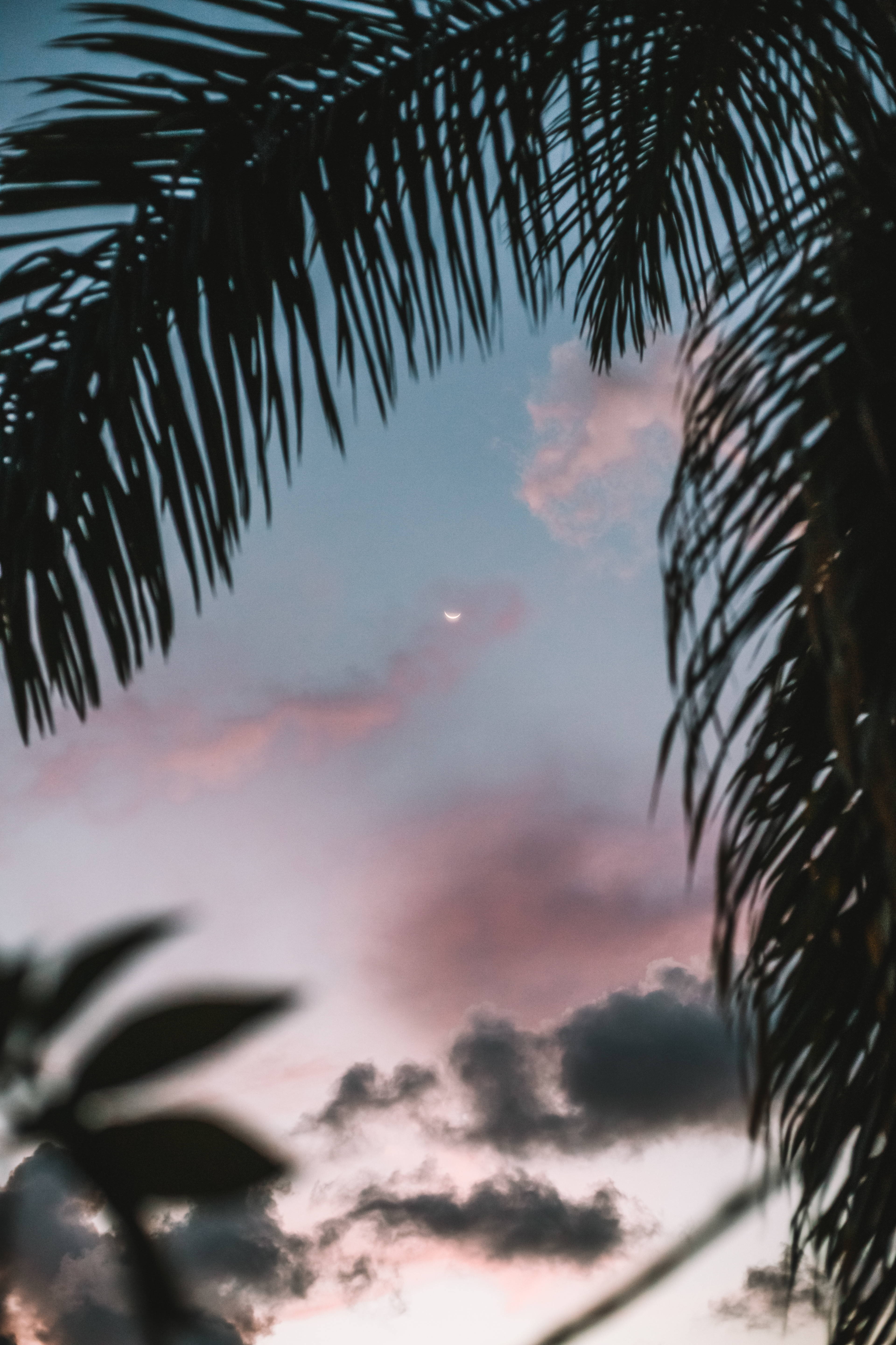 TRM Retreat, Costa Rica 