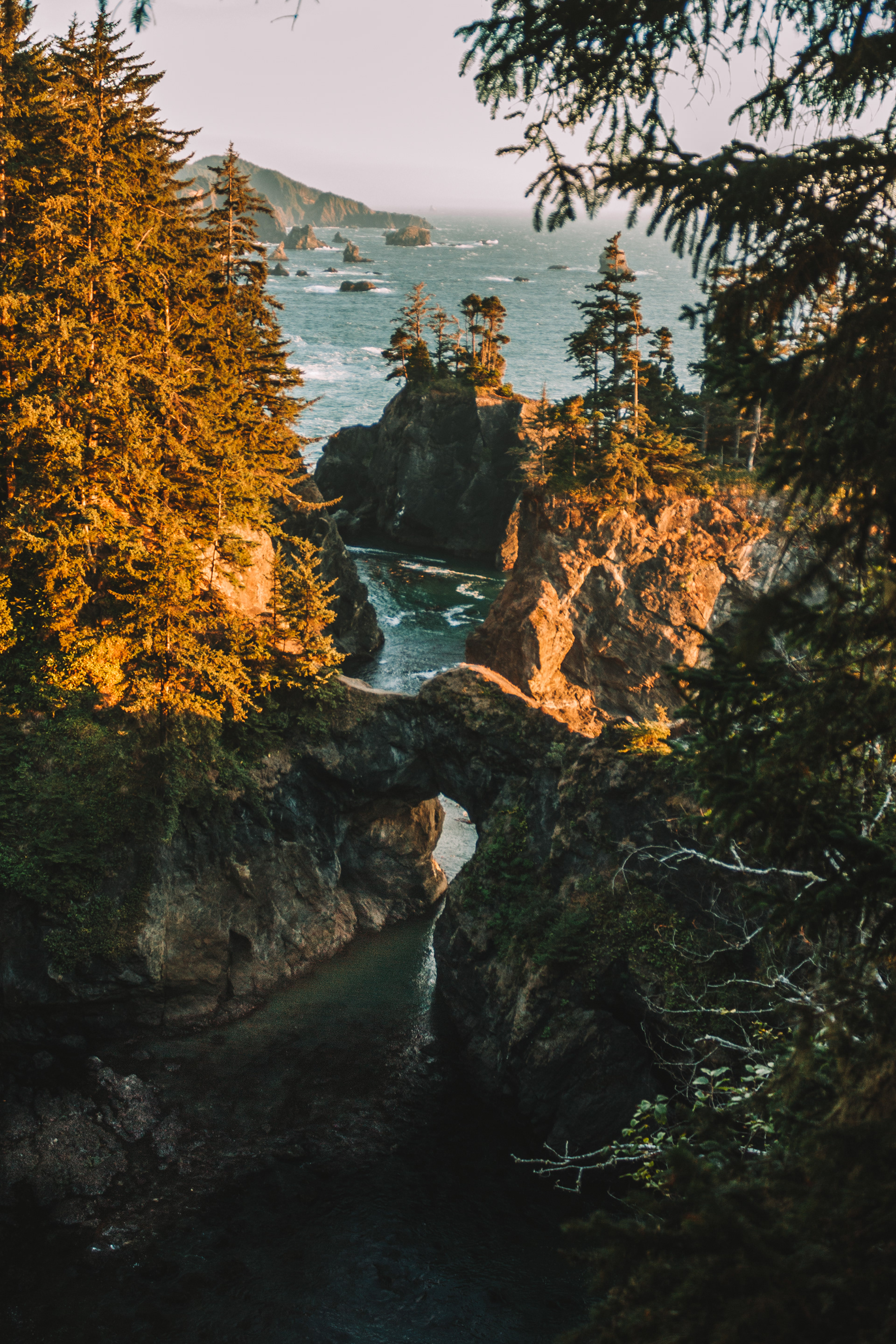 Oregon Coast
