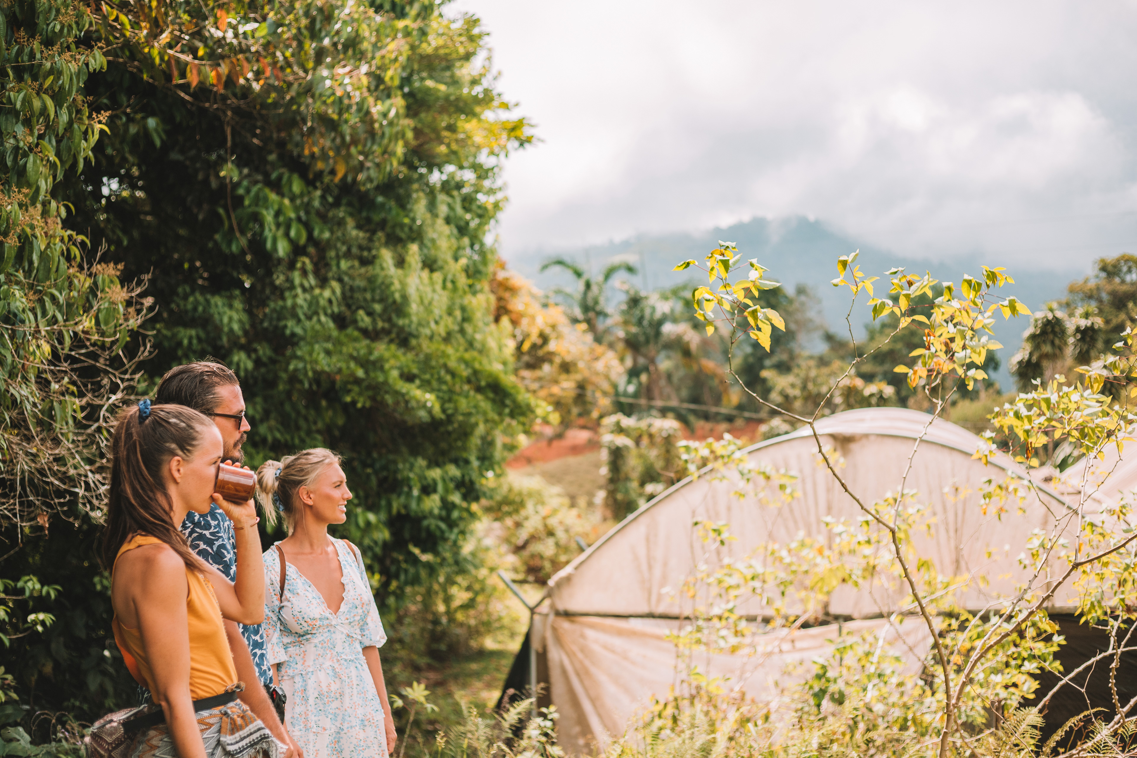 Don Emilio Coffee Farm, Costa Rica