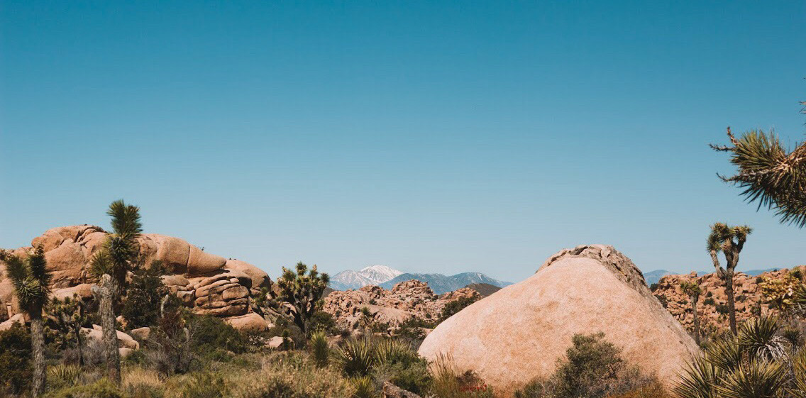 Joshua Tree National Park