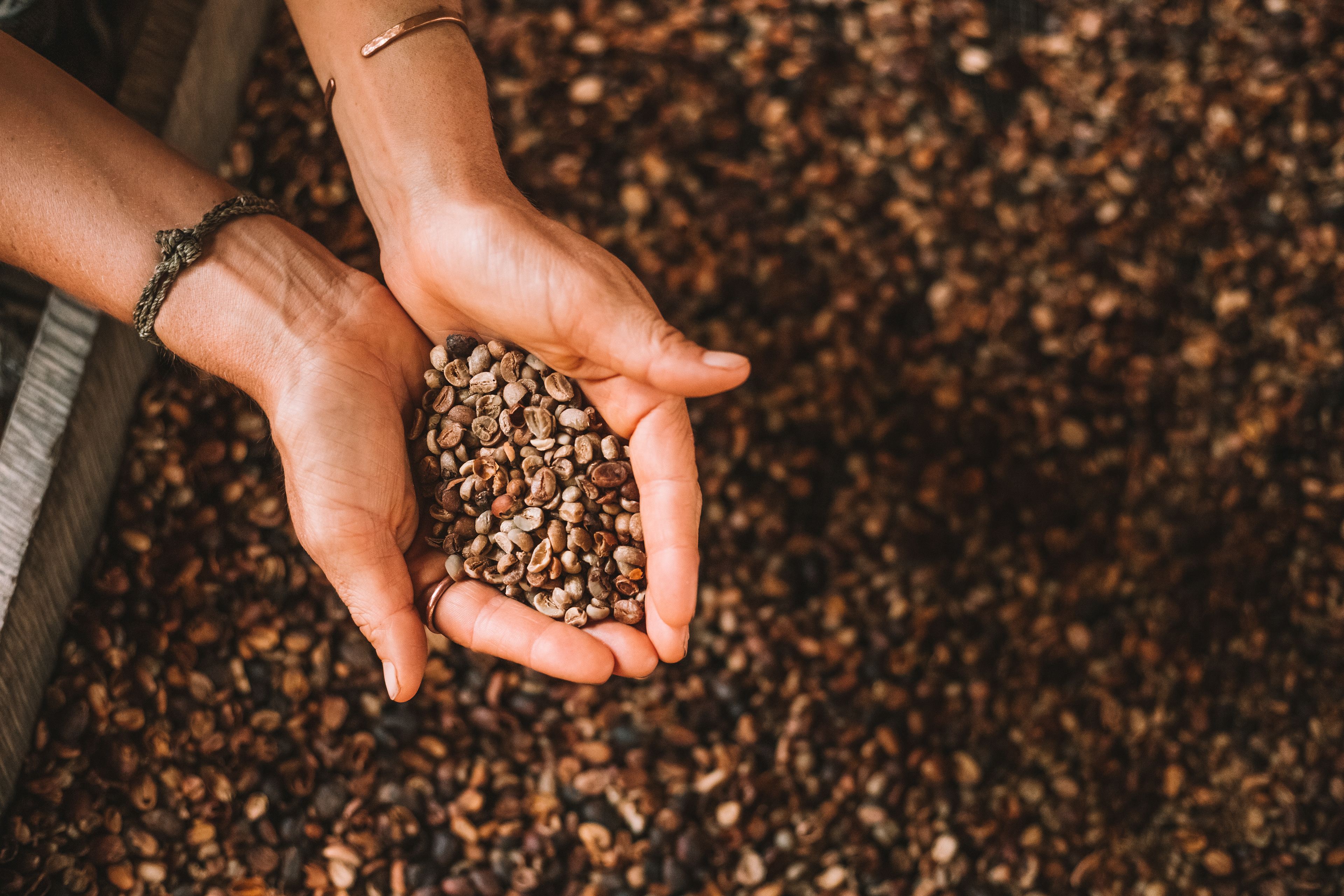 Don Emilio Coffee Farm, Costa Rica