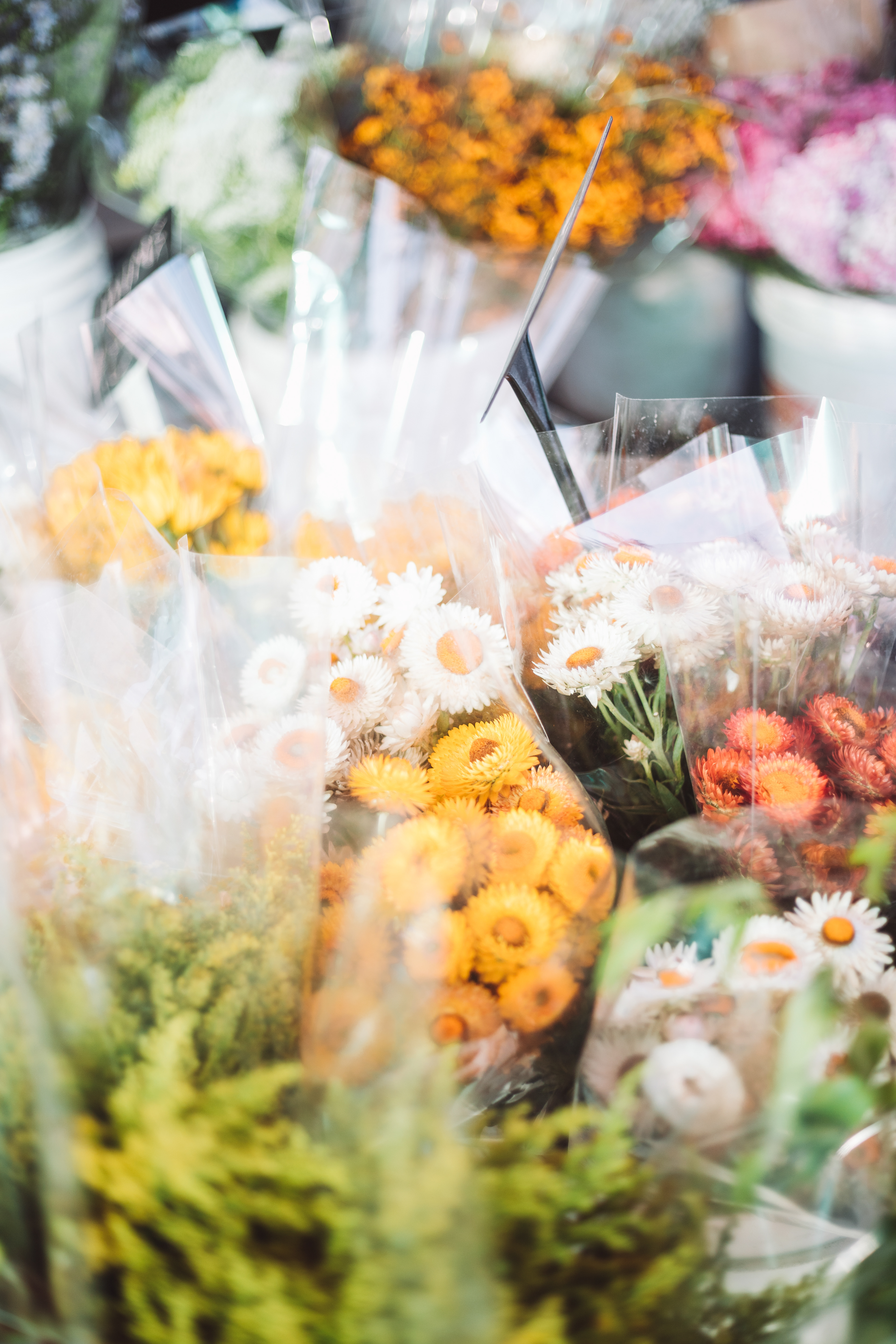 Farmer's Market, San Diego, CA