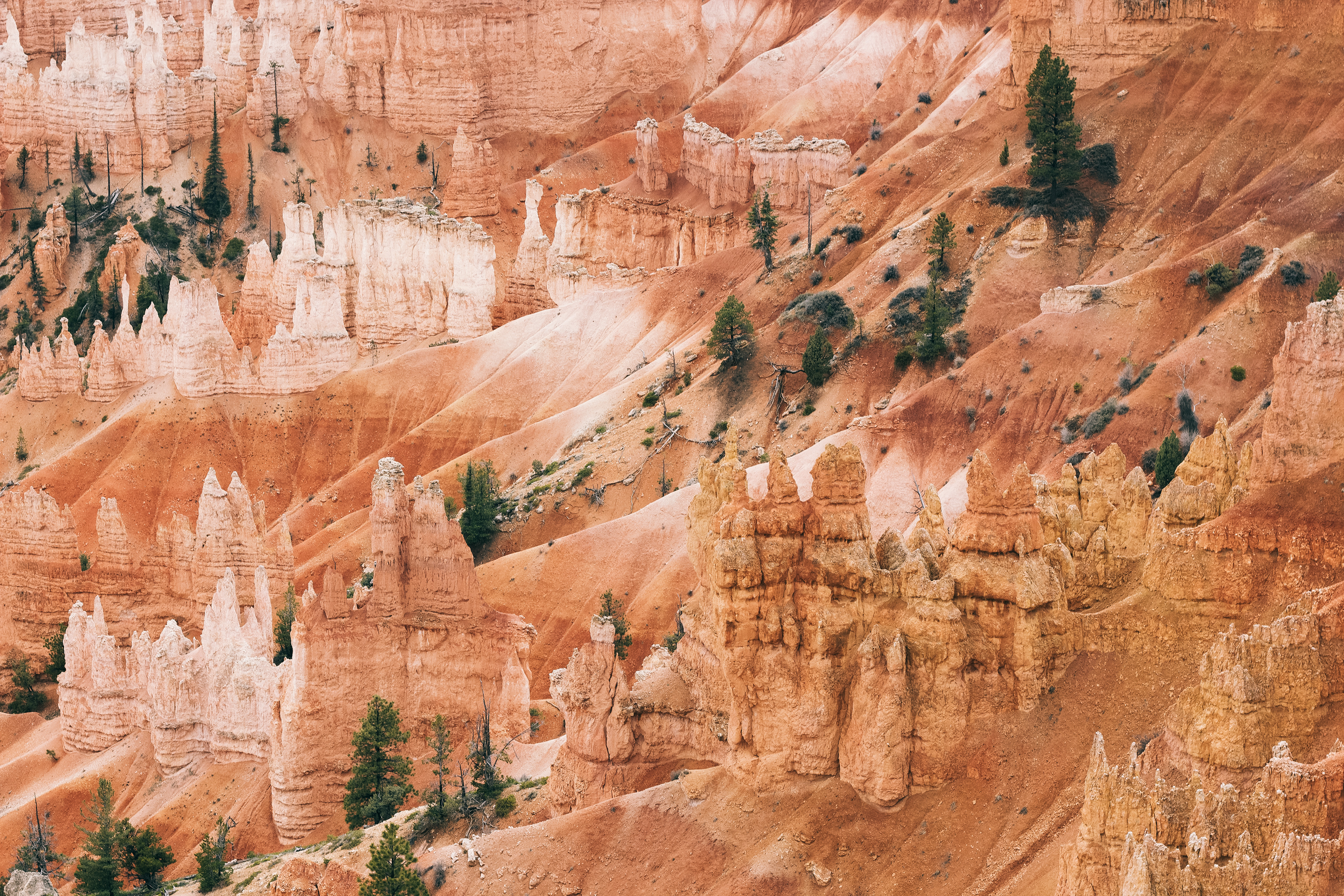 Hoodoos, Bryce Canyon