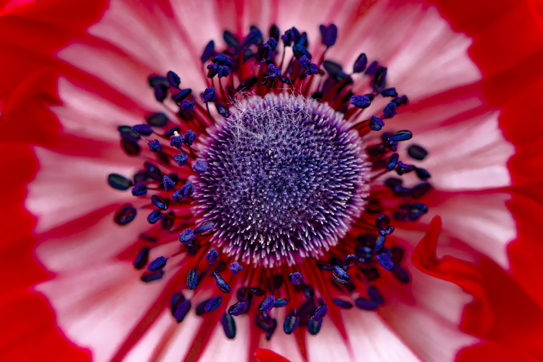 013J — 14 Avril 2021