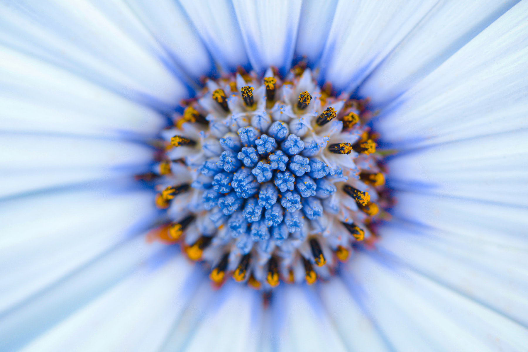 011j2 - 10 Septembre 2019