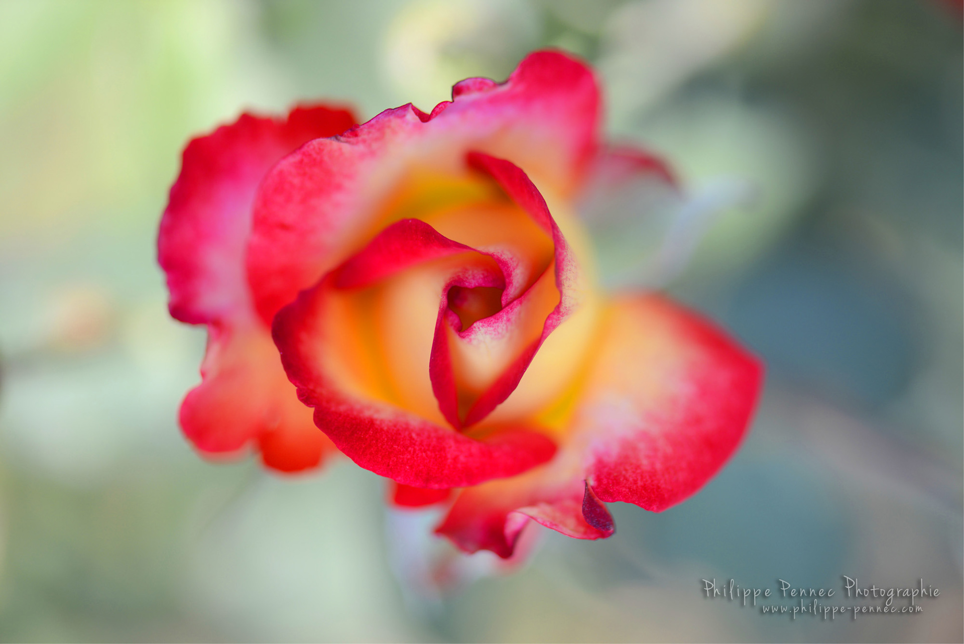 058HDR / 14 Aout 2018