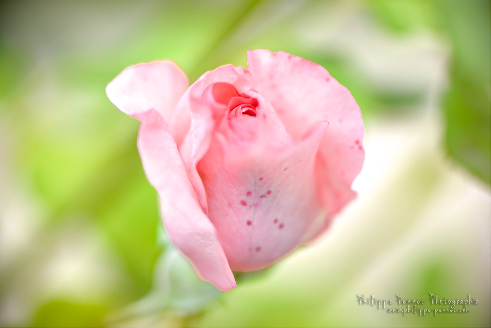 210 cs / 16 Juillet 2016