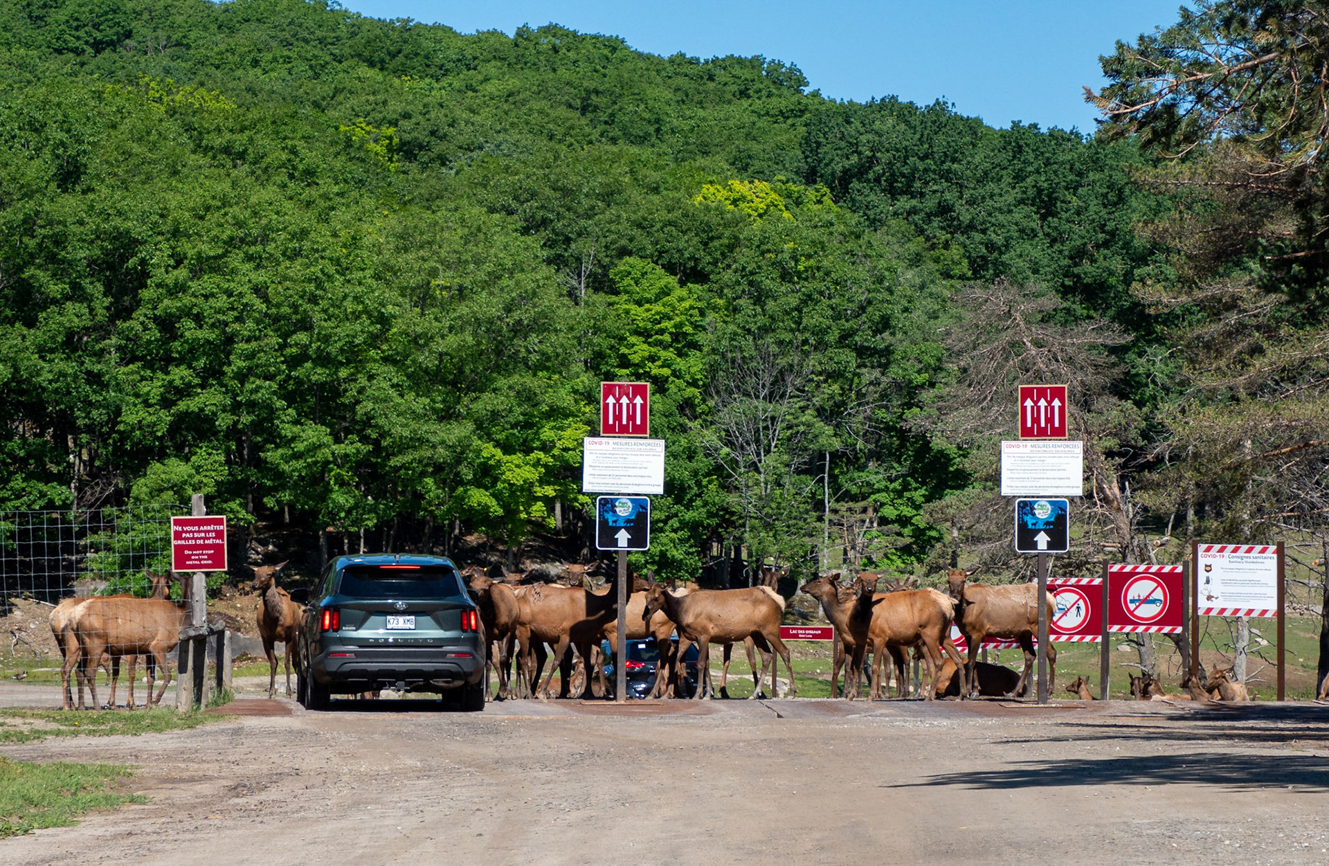 elk toll keepers