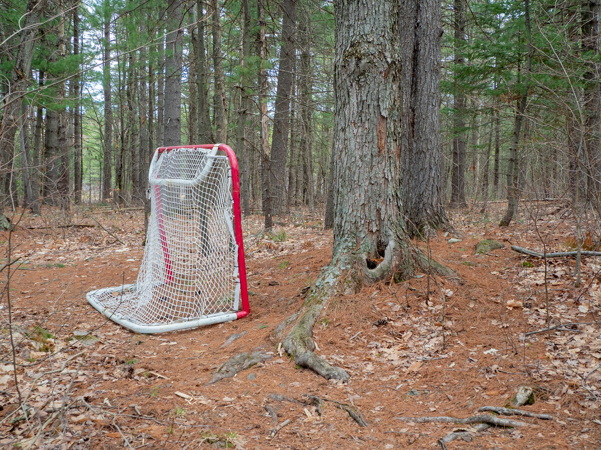 hockey net a long way from civilization