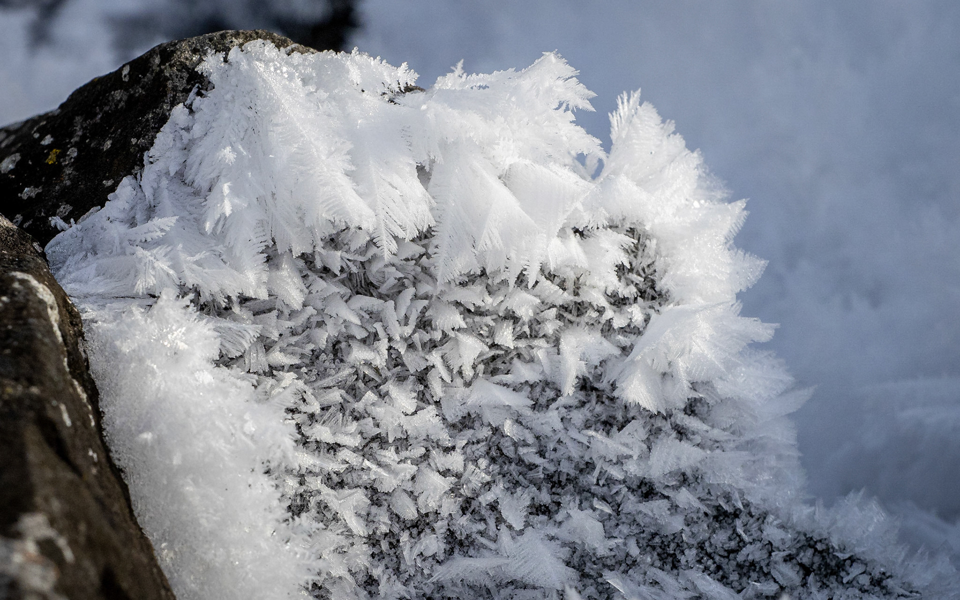 frost formations